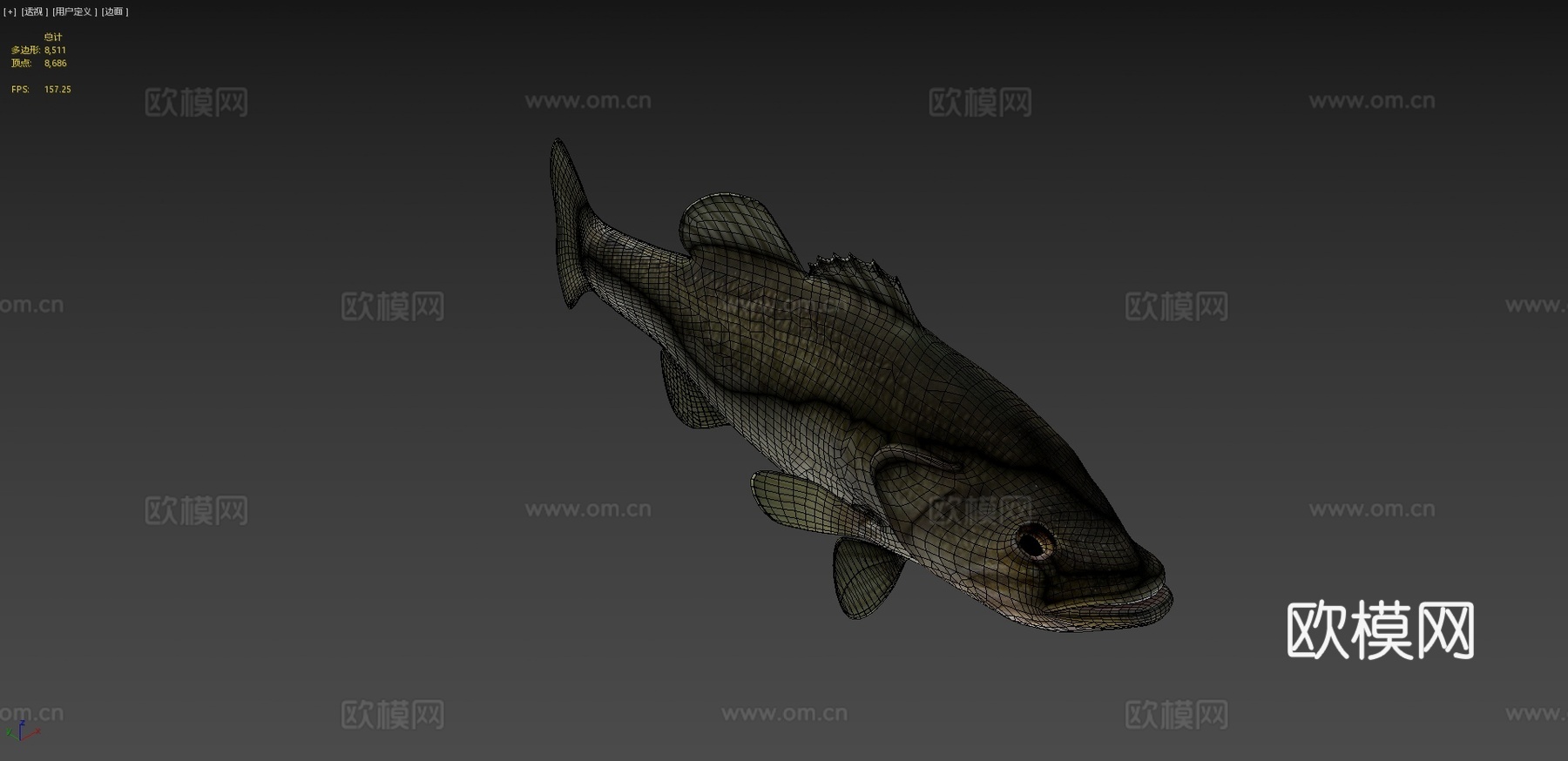 A型-大口黑鲈3d模型