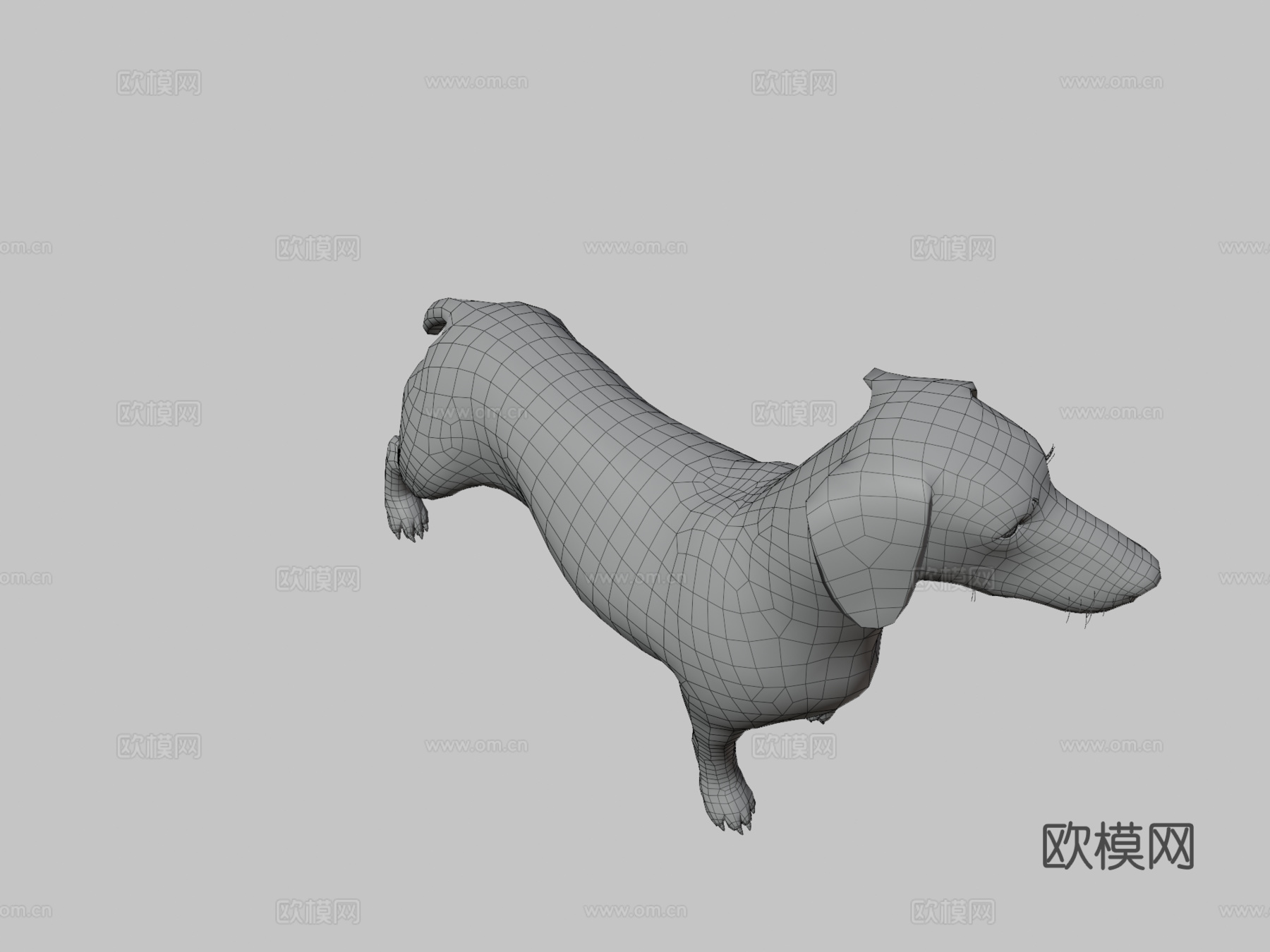 腊肠犬3d模型
