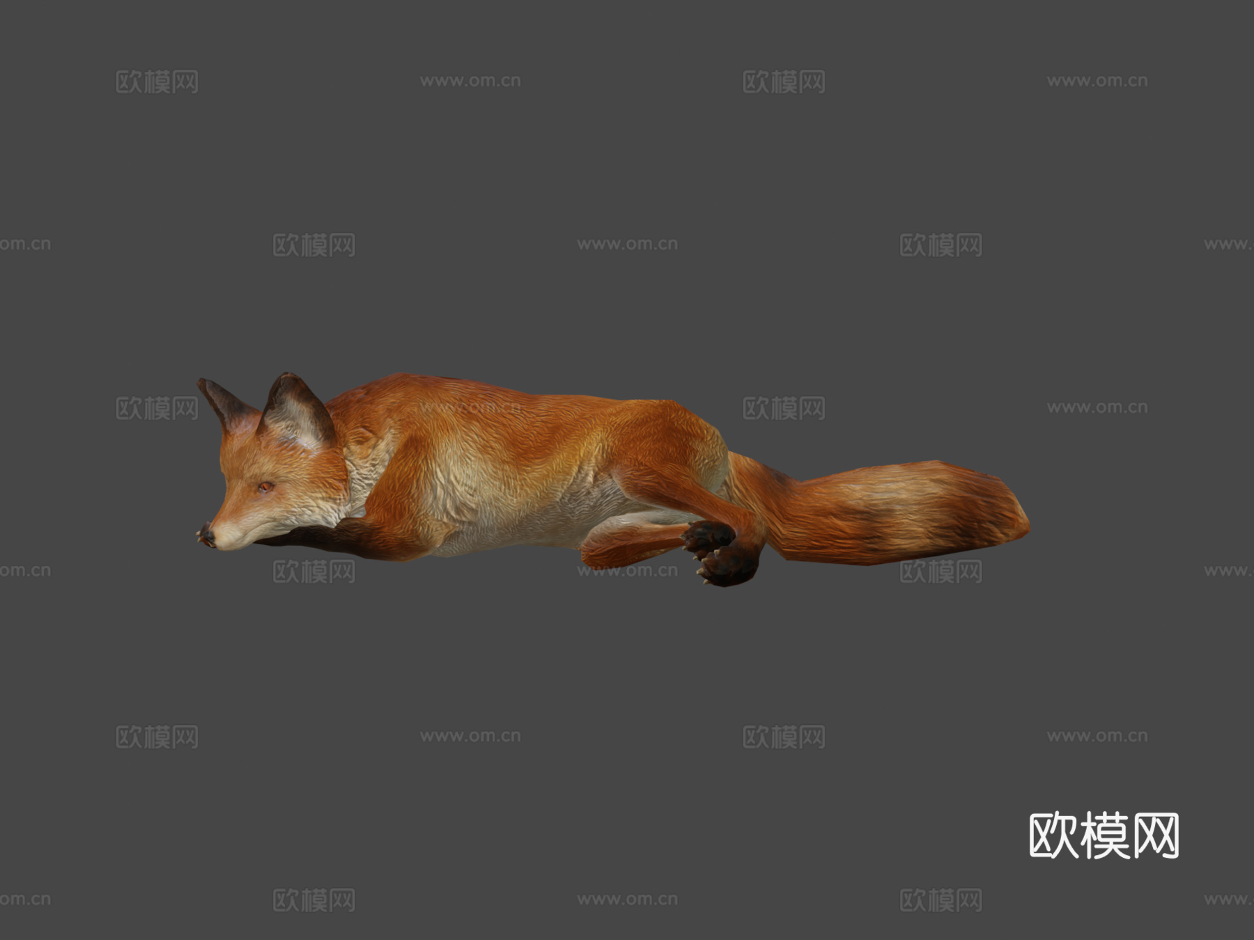 狐狸3d模型