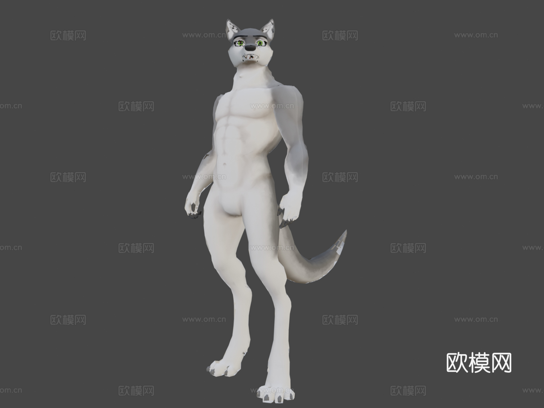 特里斯狼3d模型