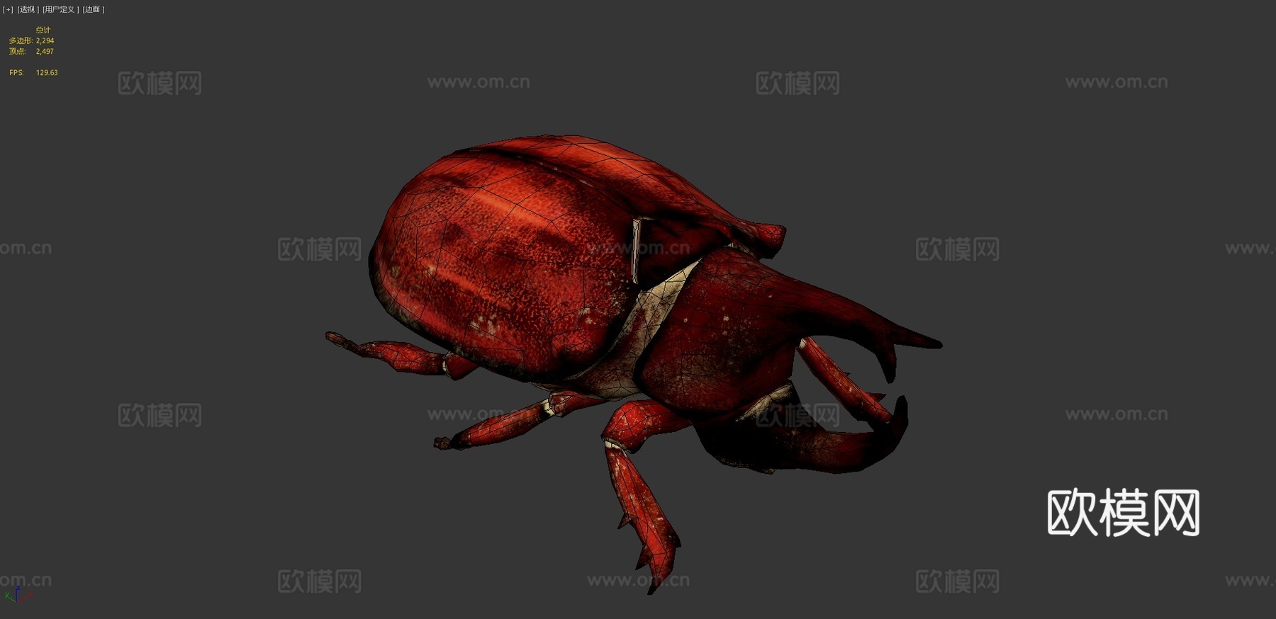 犀牛甲虫3d模型