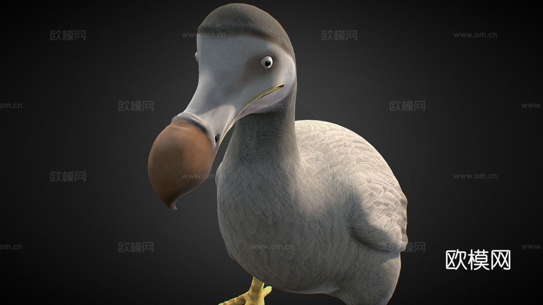 渡渡鸟[灭绝鸟类]3d模型