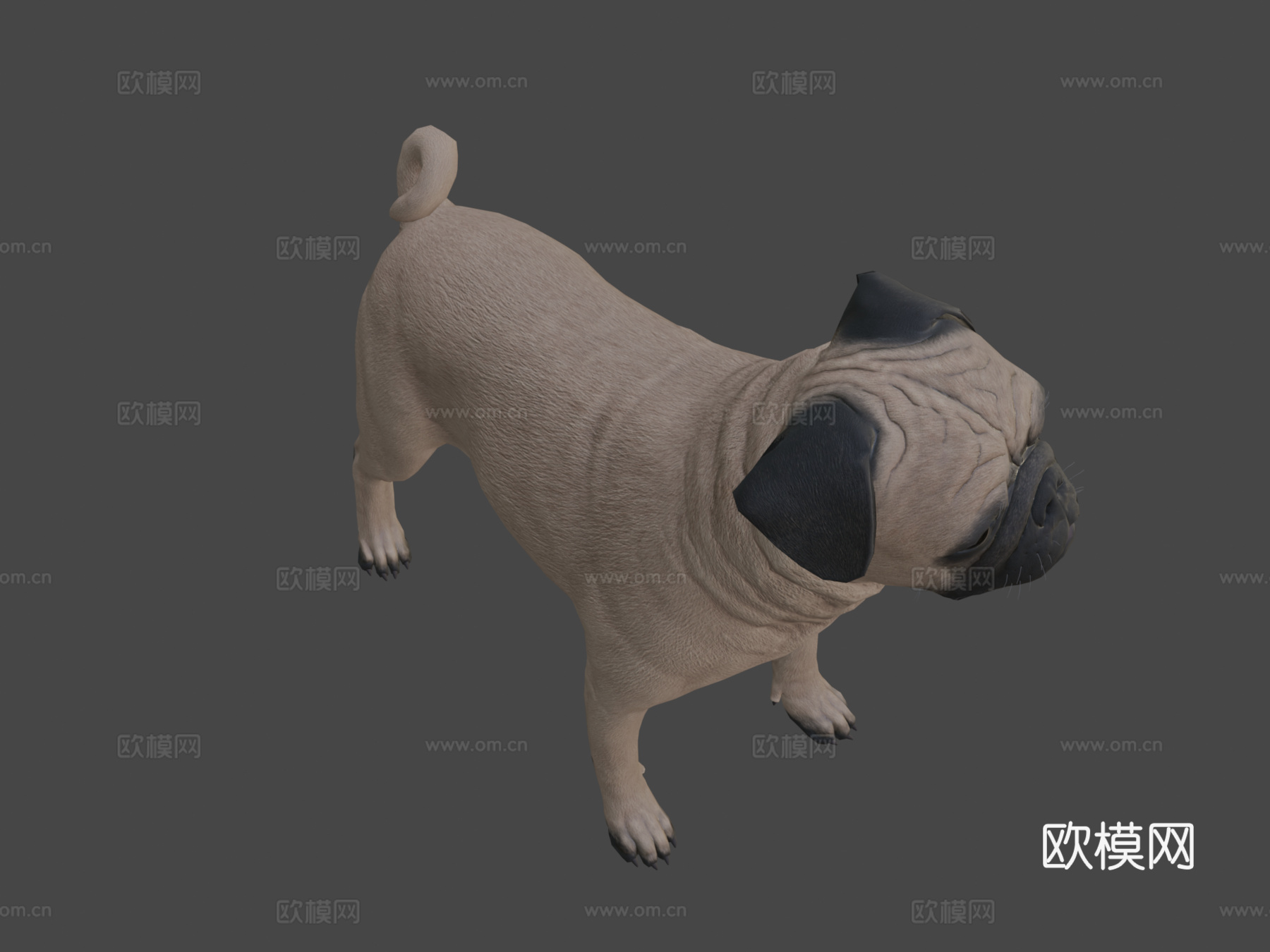 哈巴狗3d模型