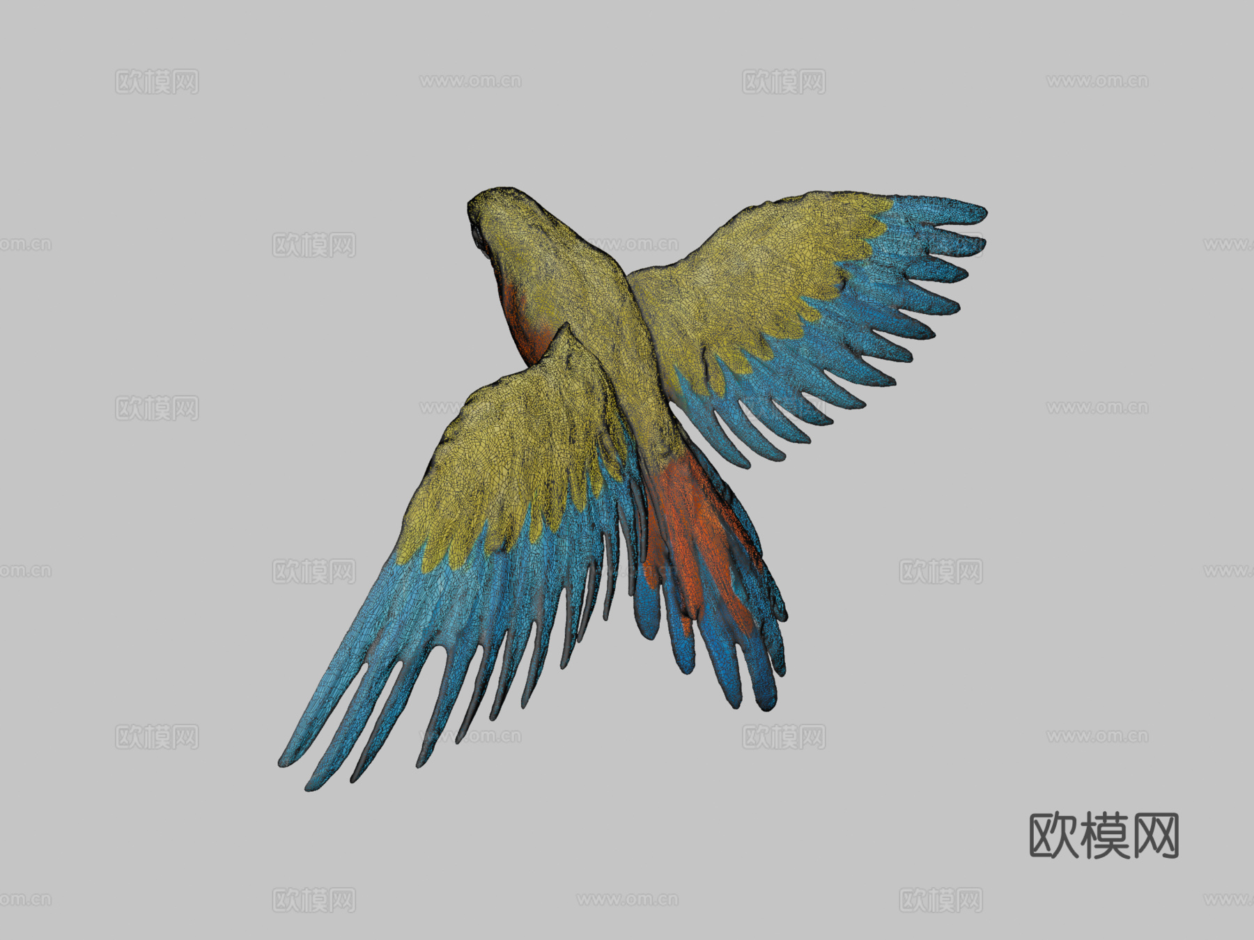 鹦鹉-由RevopointMIRACO3D扫描3d模型