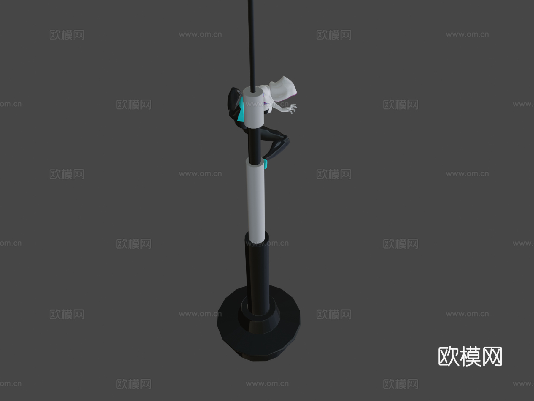 蜘蛛格温3d模型