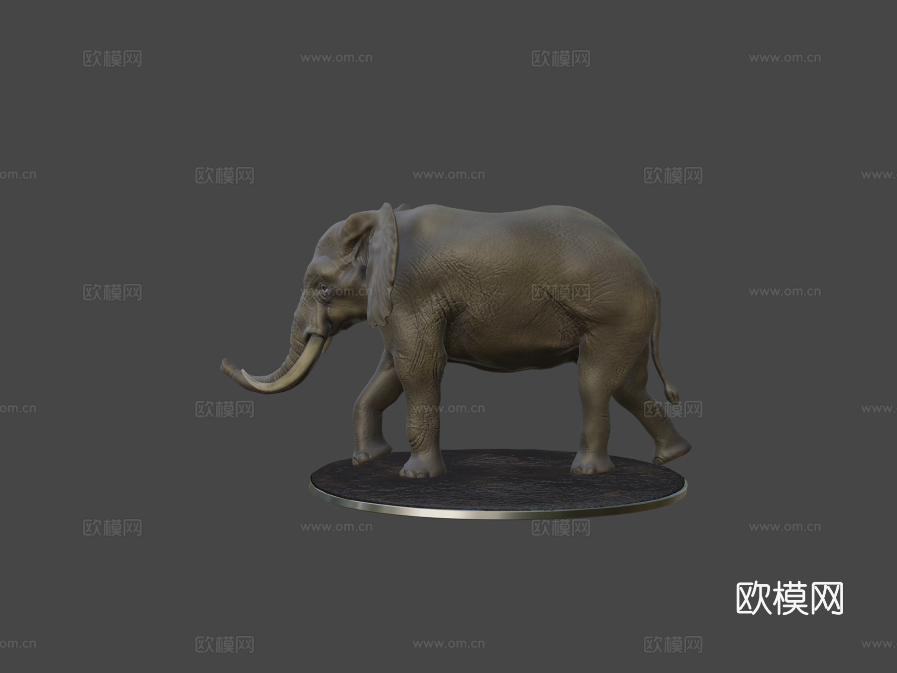 大象3d模型