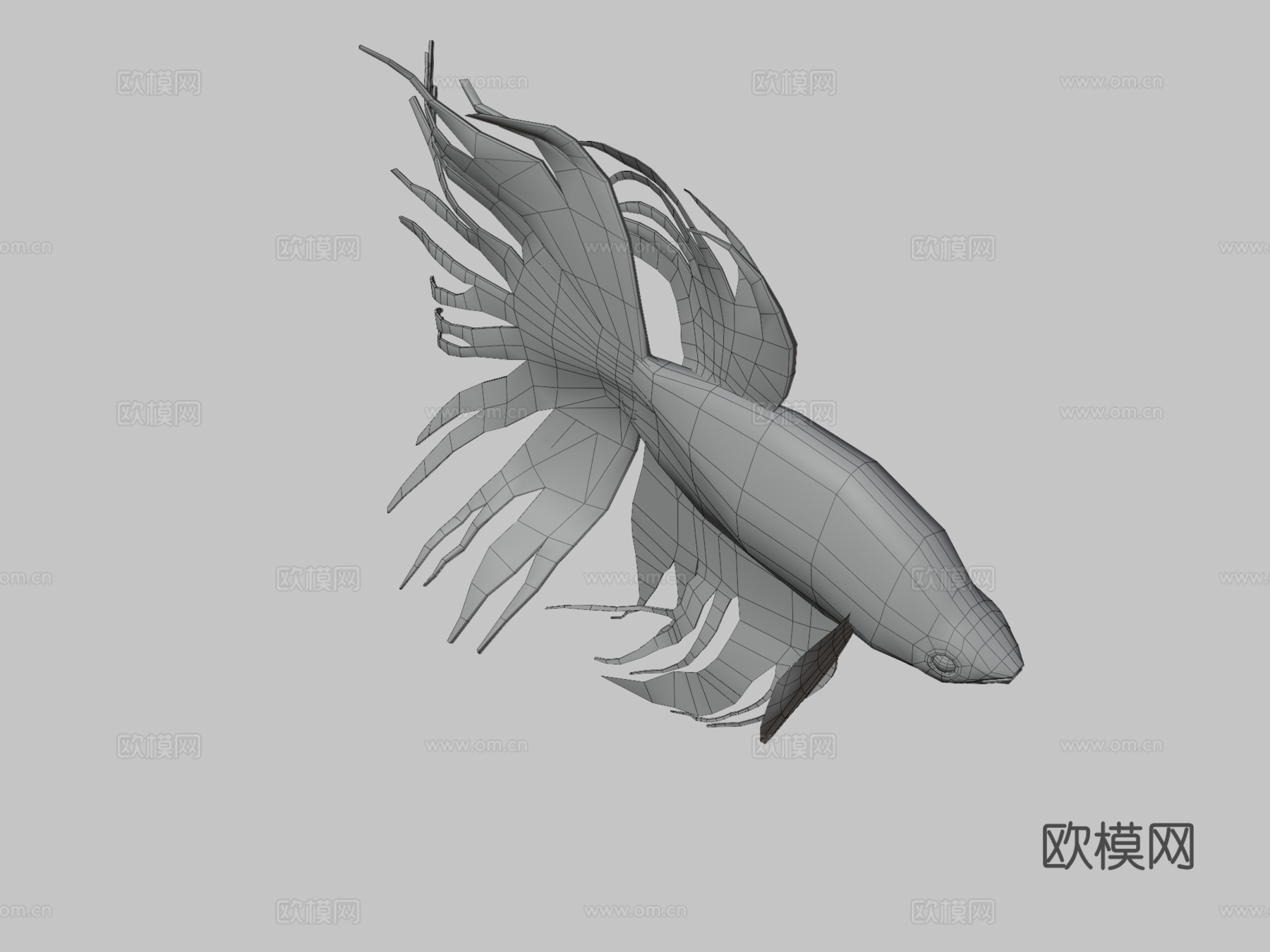 红色斗鱼3d模型