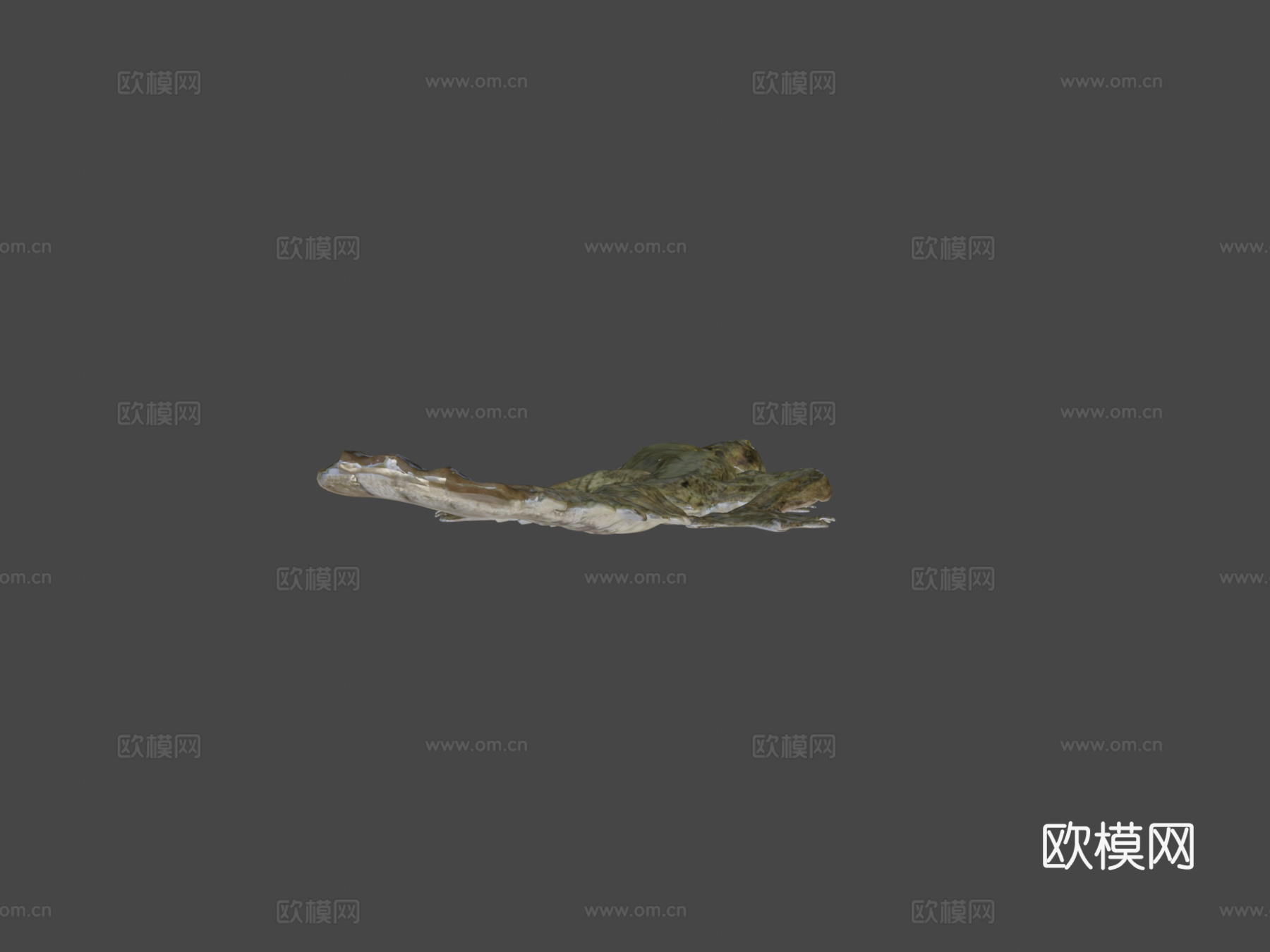 A型-飞壁虎3d模型