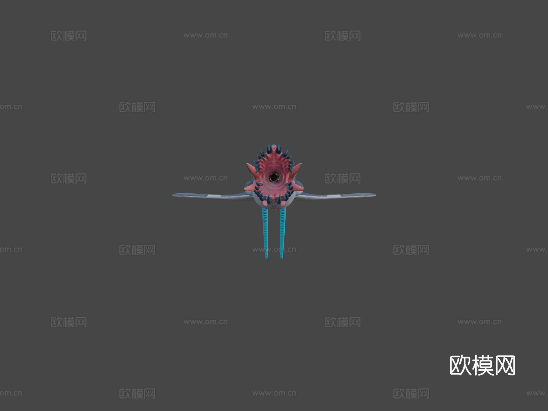 鱿鱼鲨3d模型