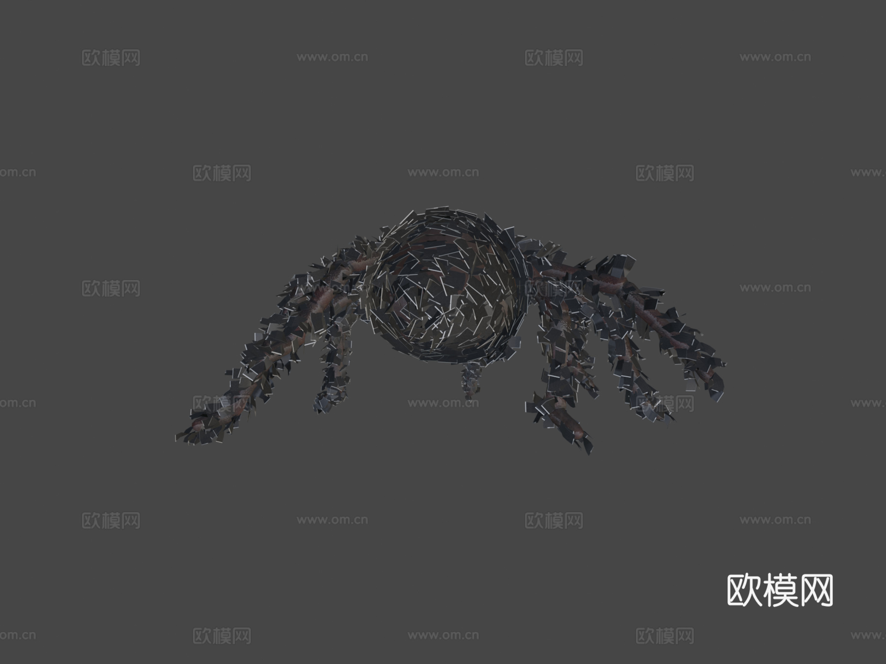 蜘蛛-狼蛛含动画3d模型