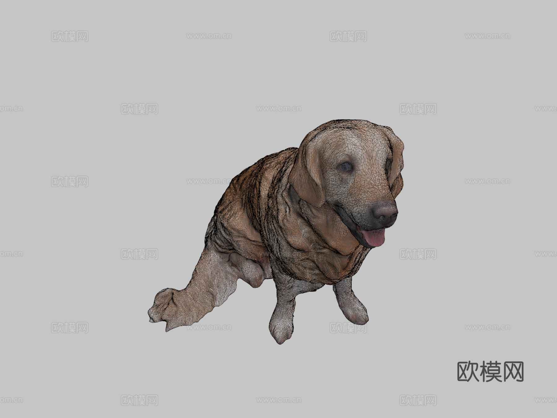 金毛犬23号3d模型