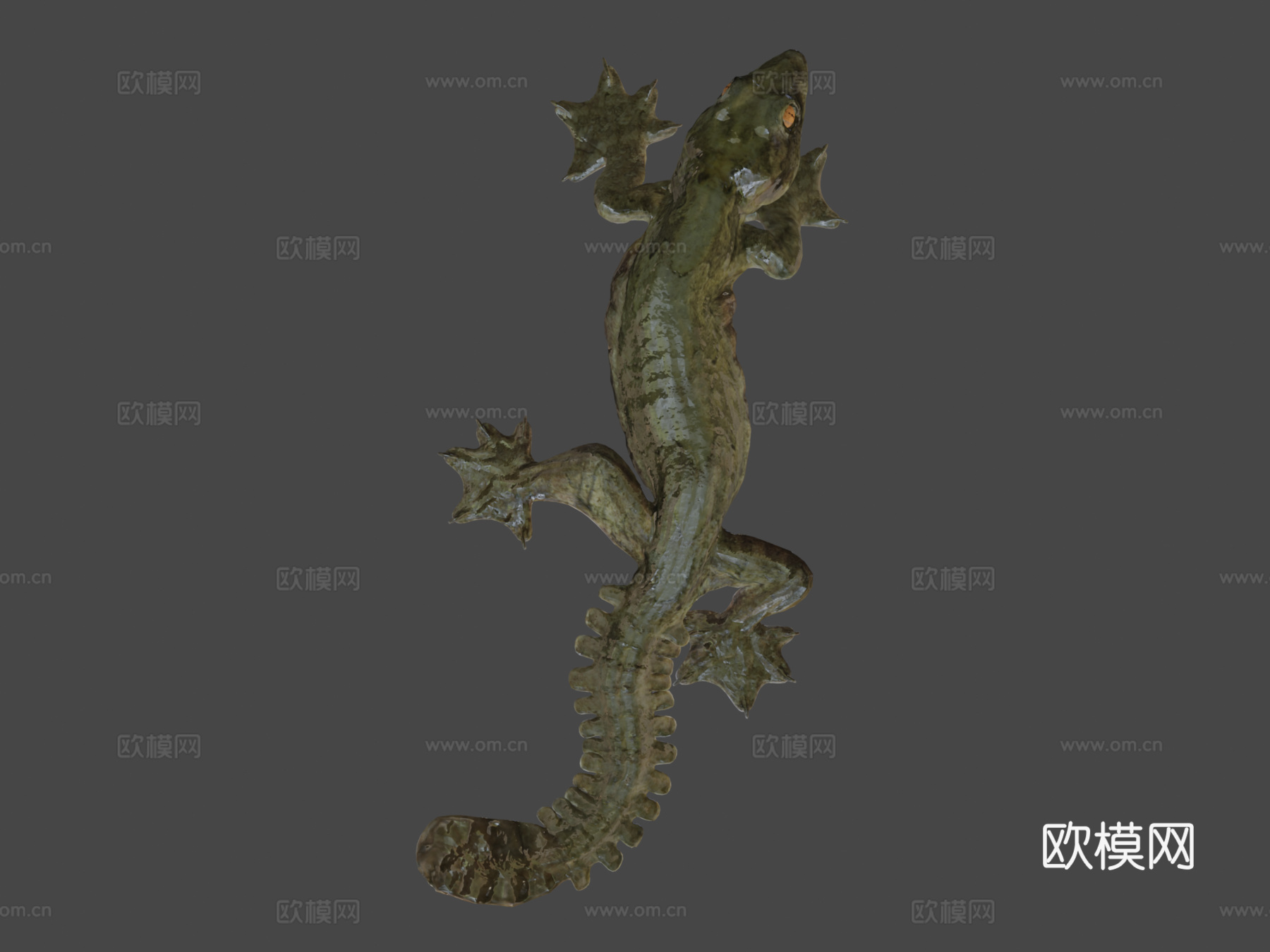 A型-飞壁虎3d模型
