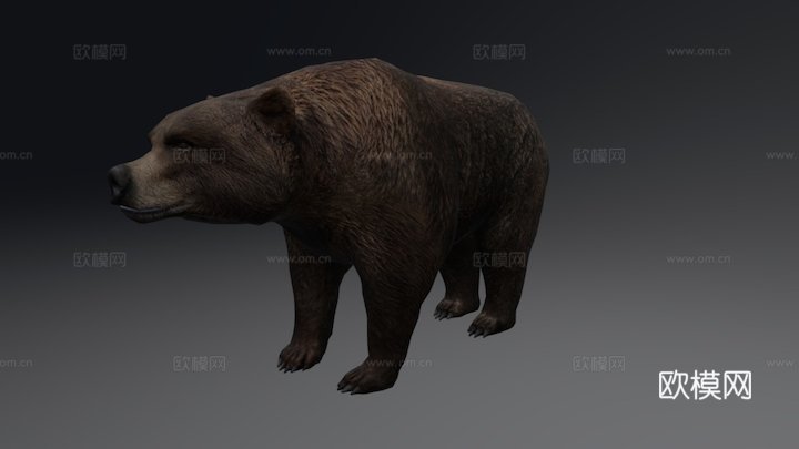 熊13d模型