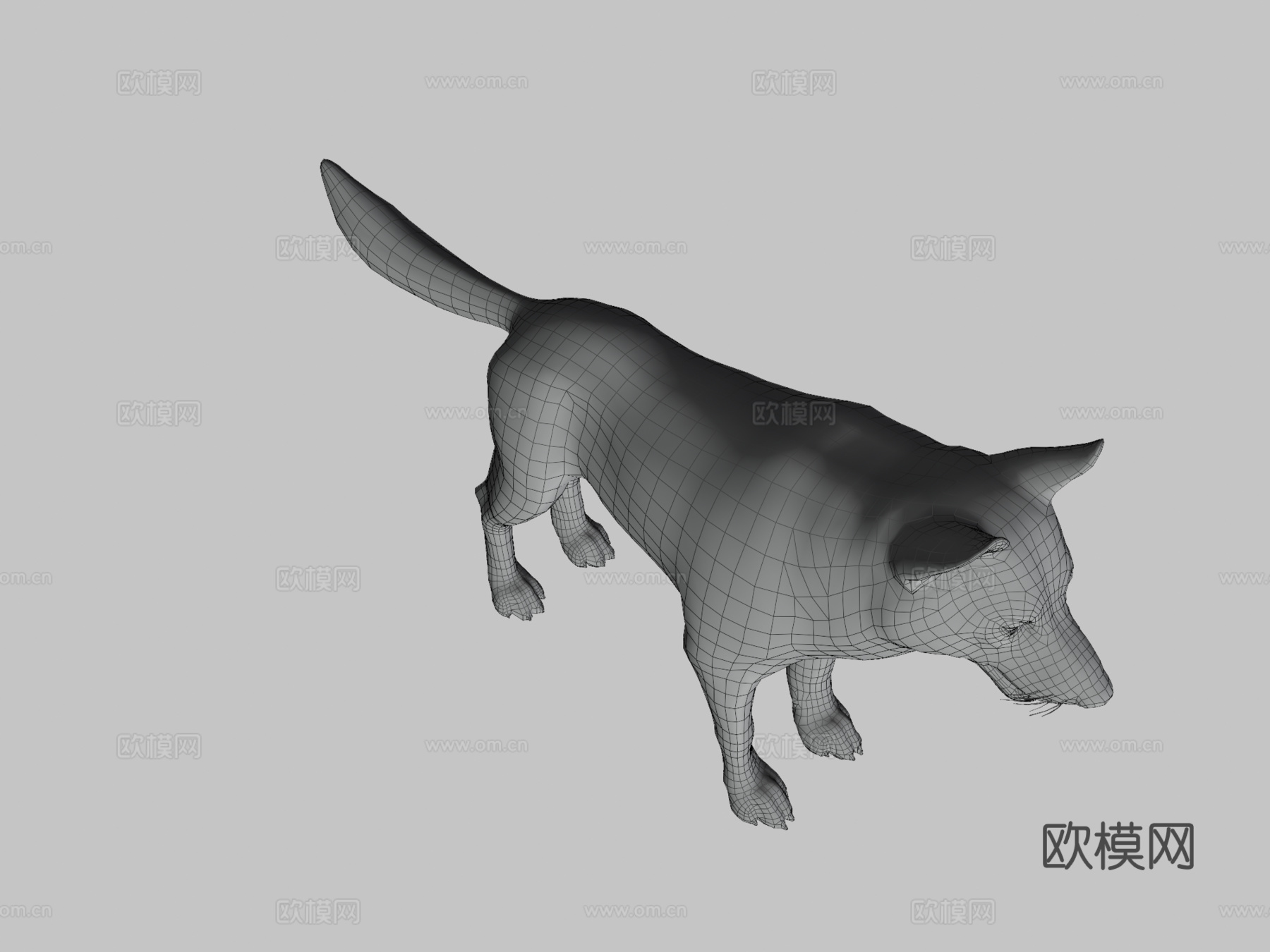 狼动画3d模型