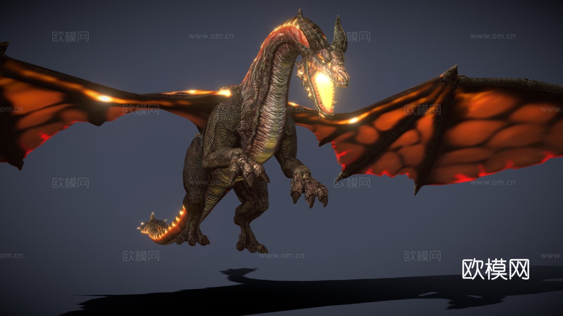 DRT-战斗龙-3d模型