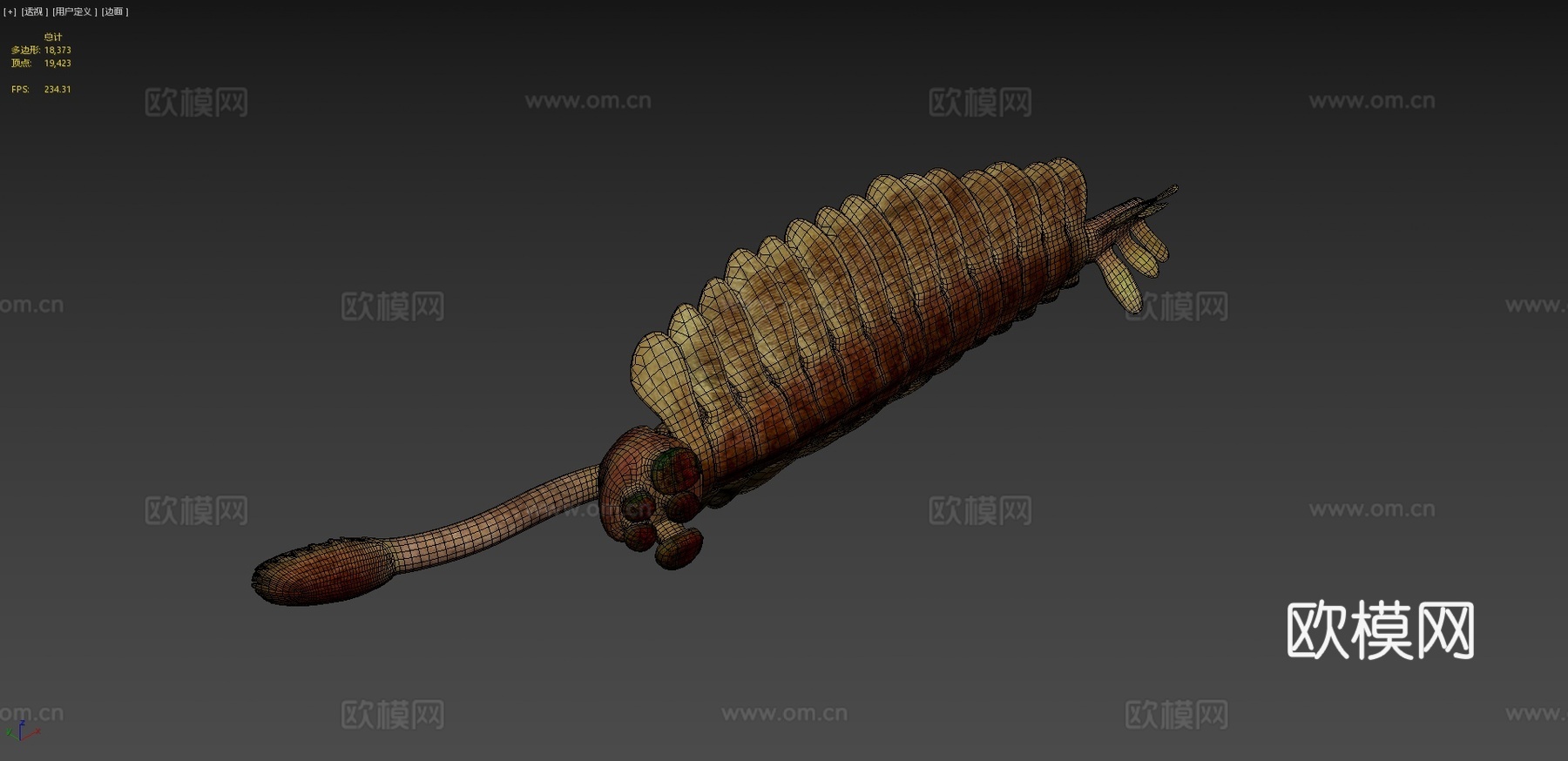 皇家欧巴宾海蝎(沃尔科特1912年命名)3d模型