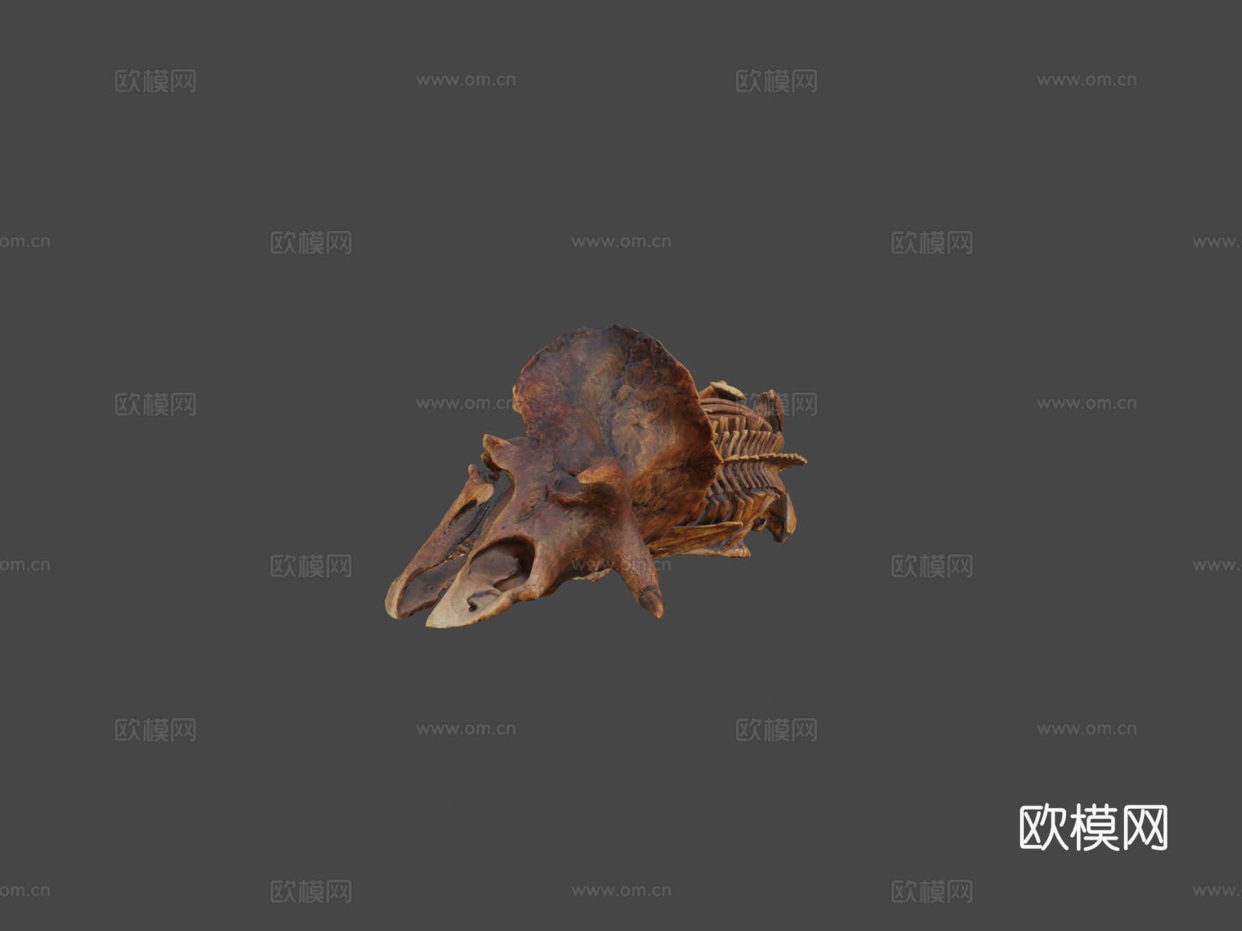 三角龙恐怖沼泽种3d模型
