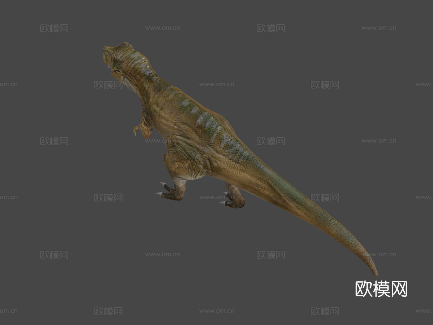 霸王龙低多边形3d模型