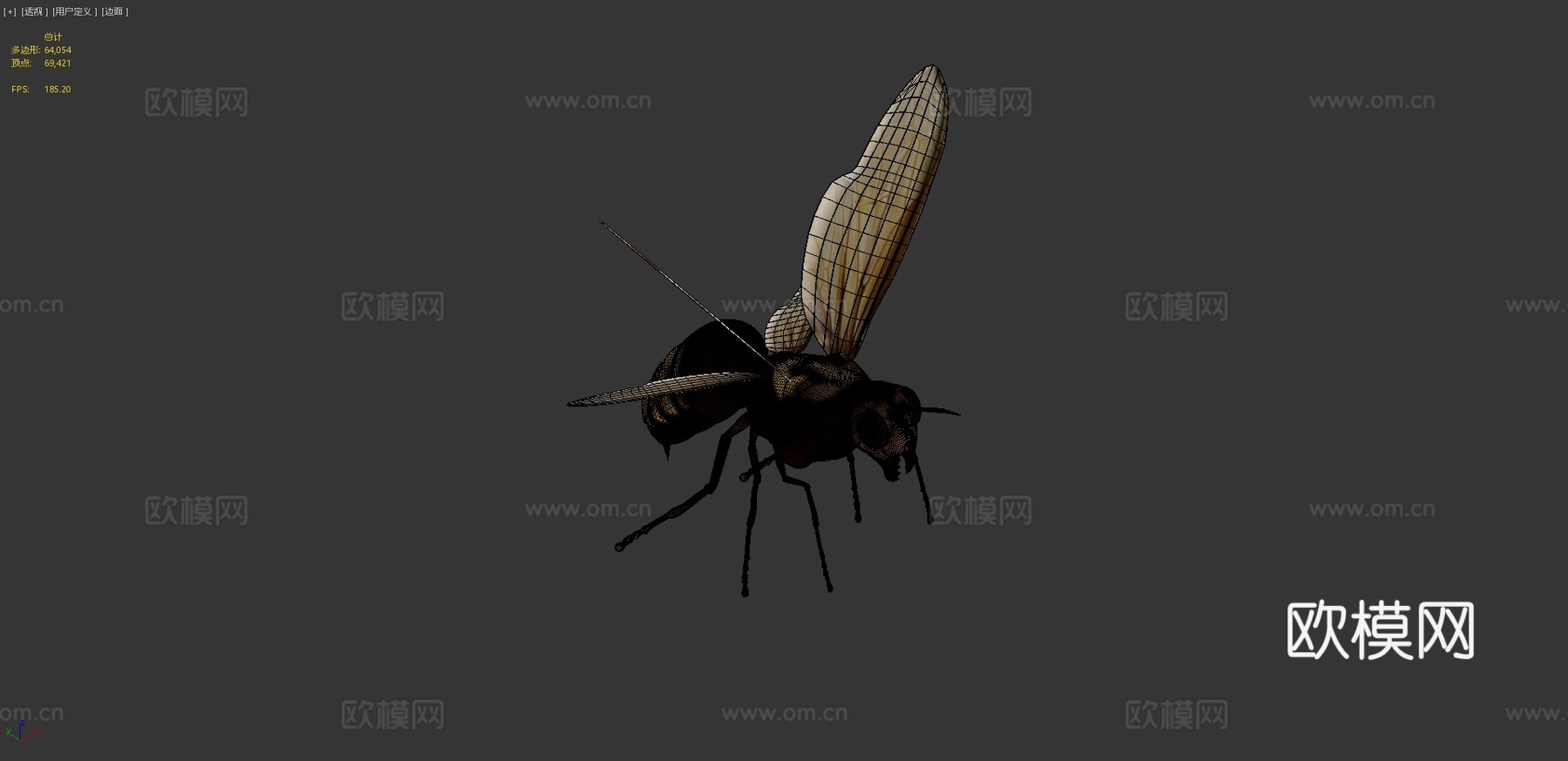 飞黄蜂3d模型
