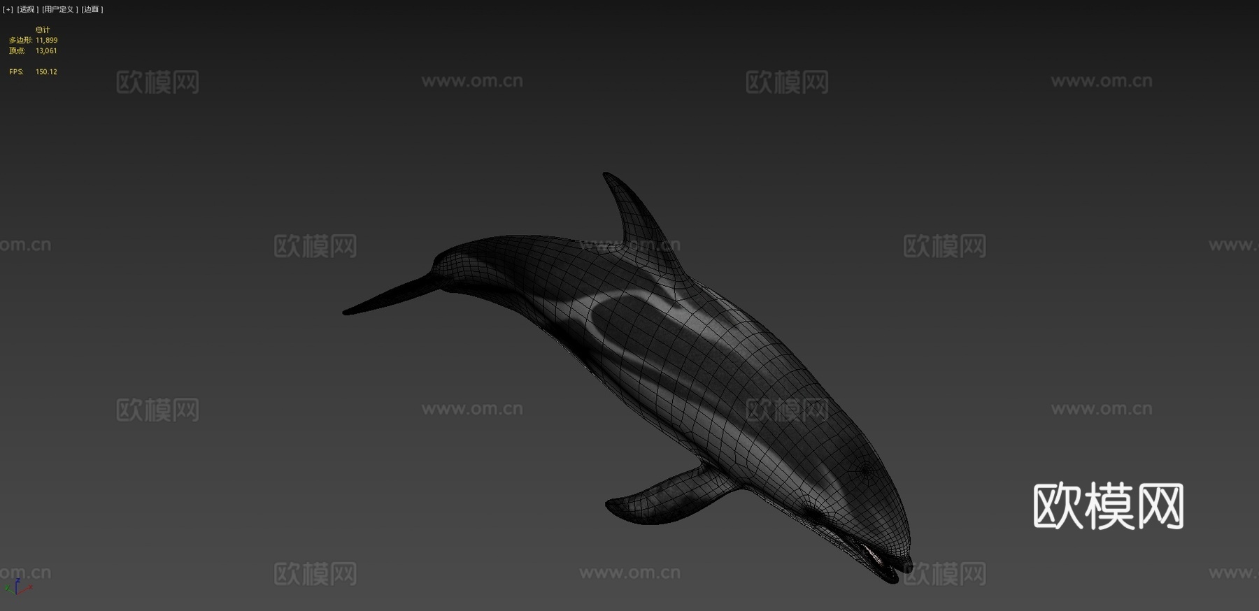 太平洋白侧海豚3d模型
