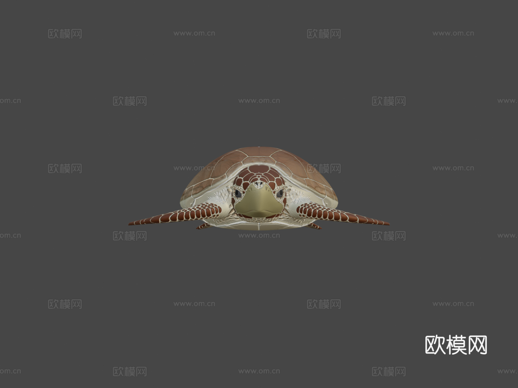 蠵龟3d模型