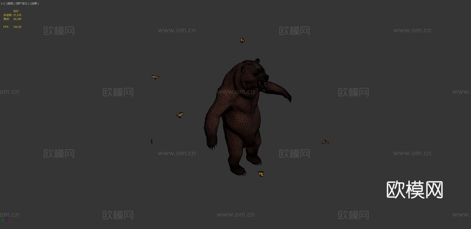 强壮熊3d模型