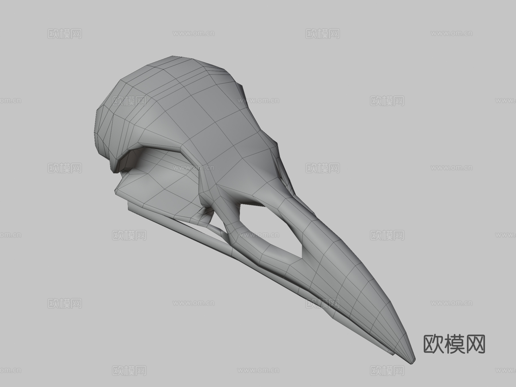 渡鸦头骨3d模型