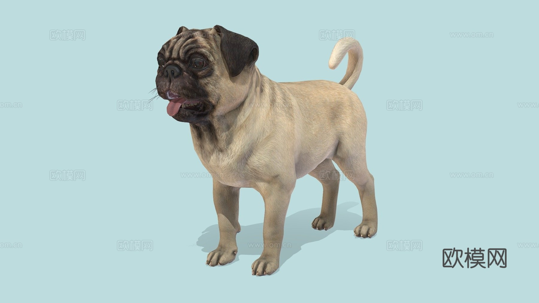 狗-哈巴狗3d模型