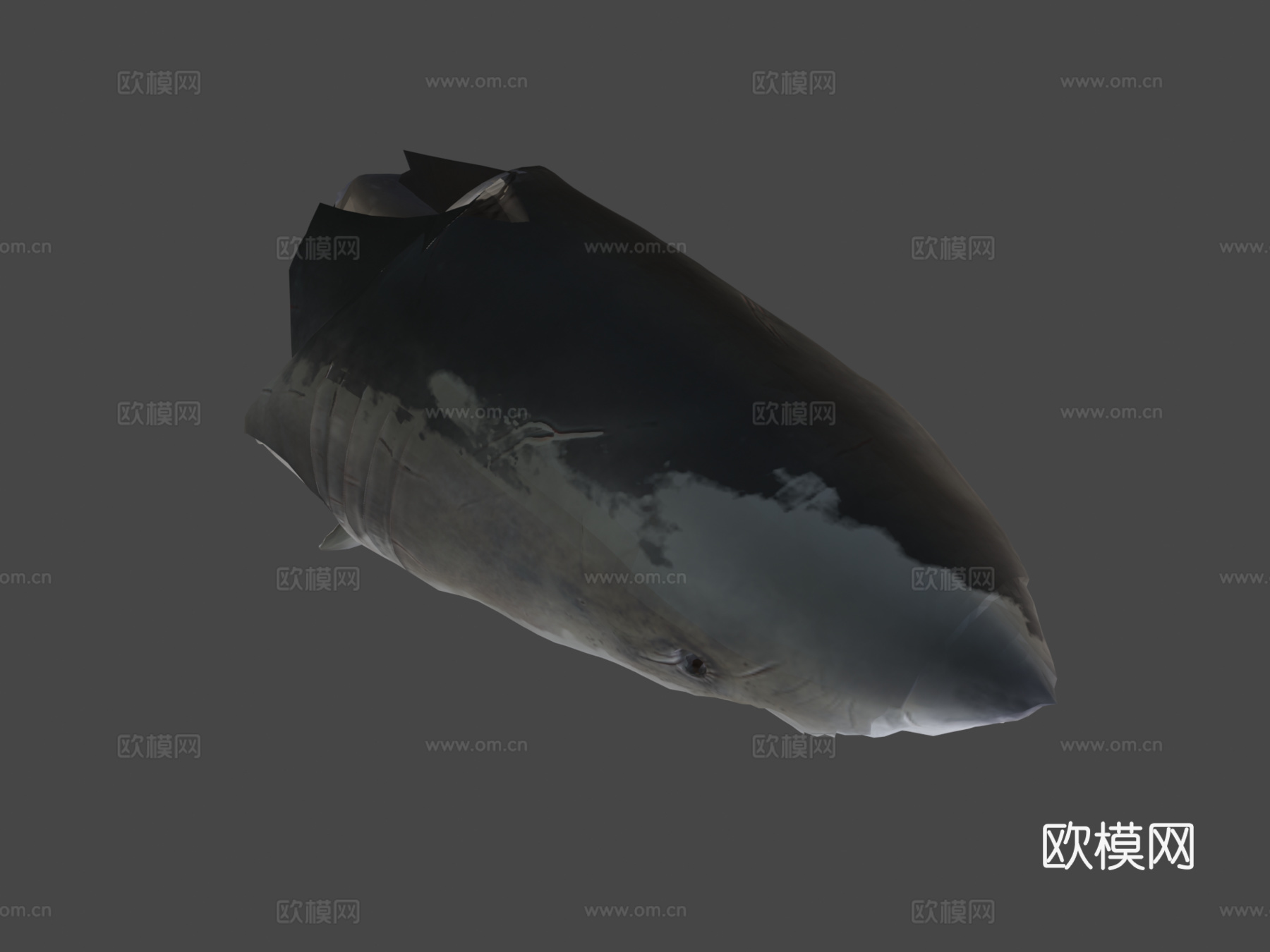 巨齿鲨3d模型