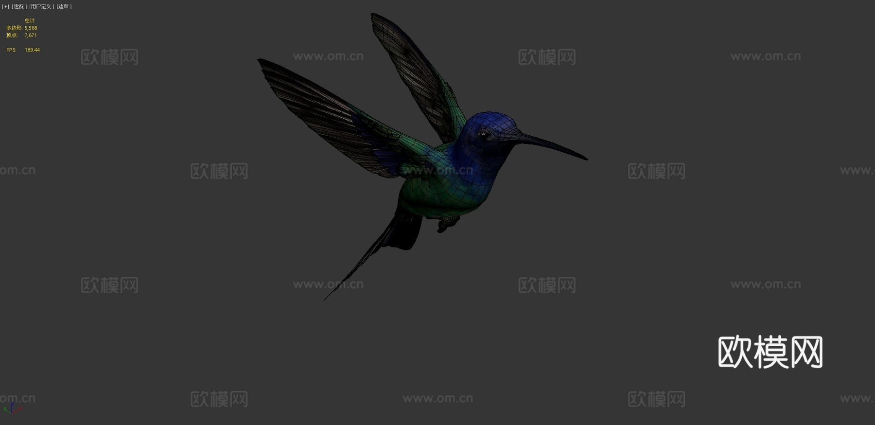 燕尾蜂鸟3d模型