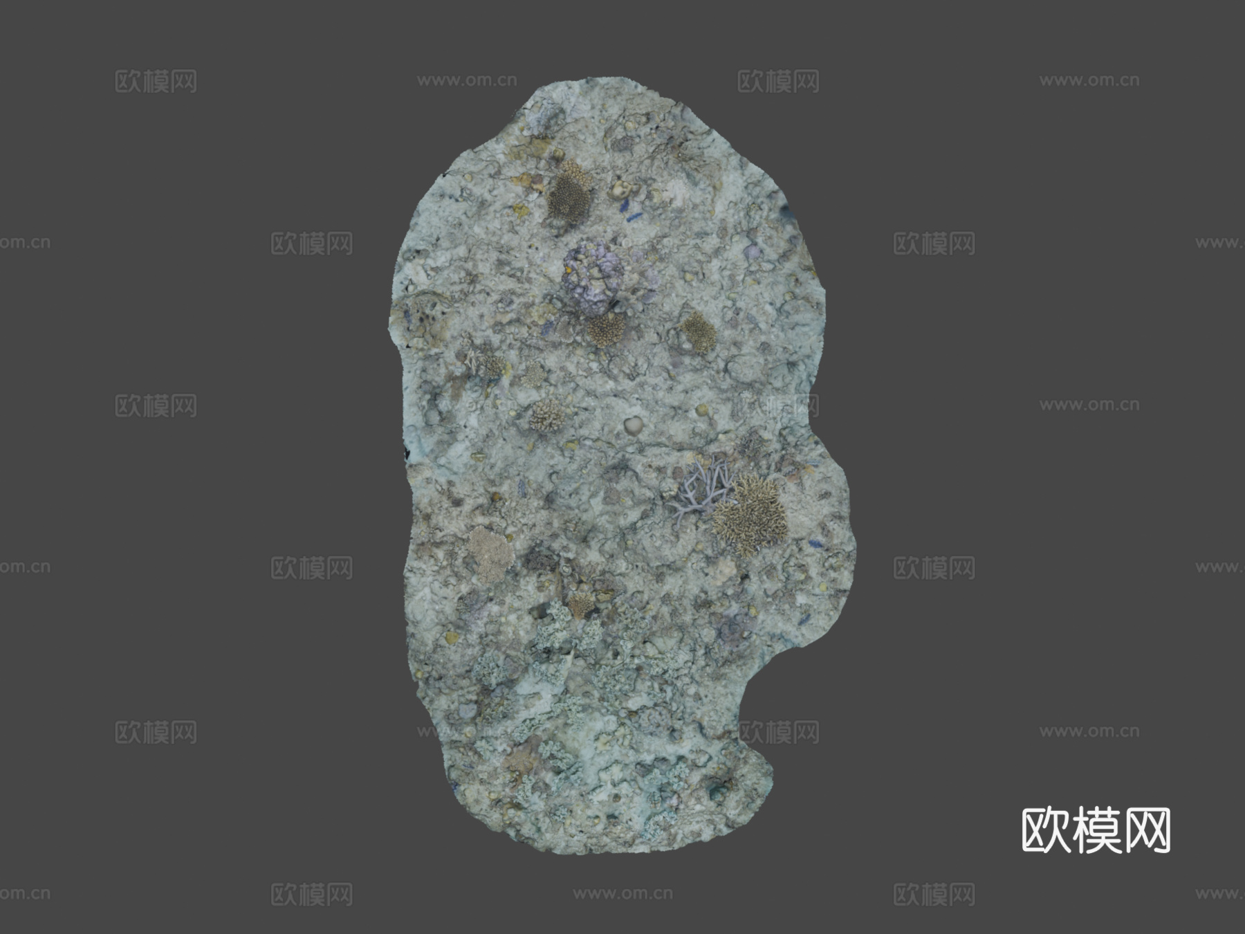 水下地形-#Agisoft自然挑战赛3d模型