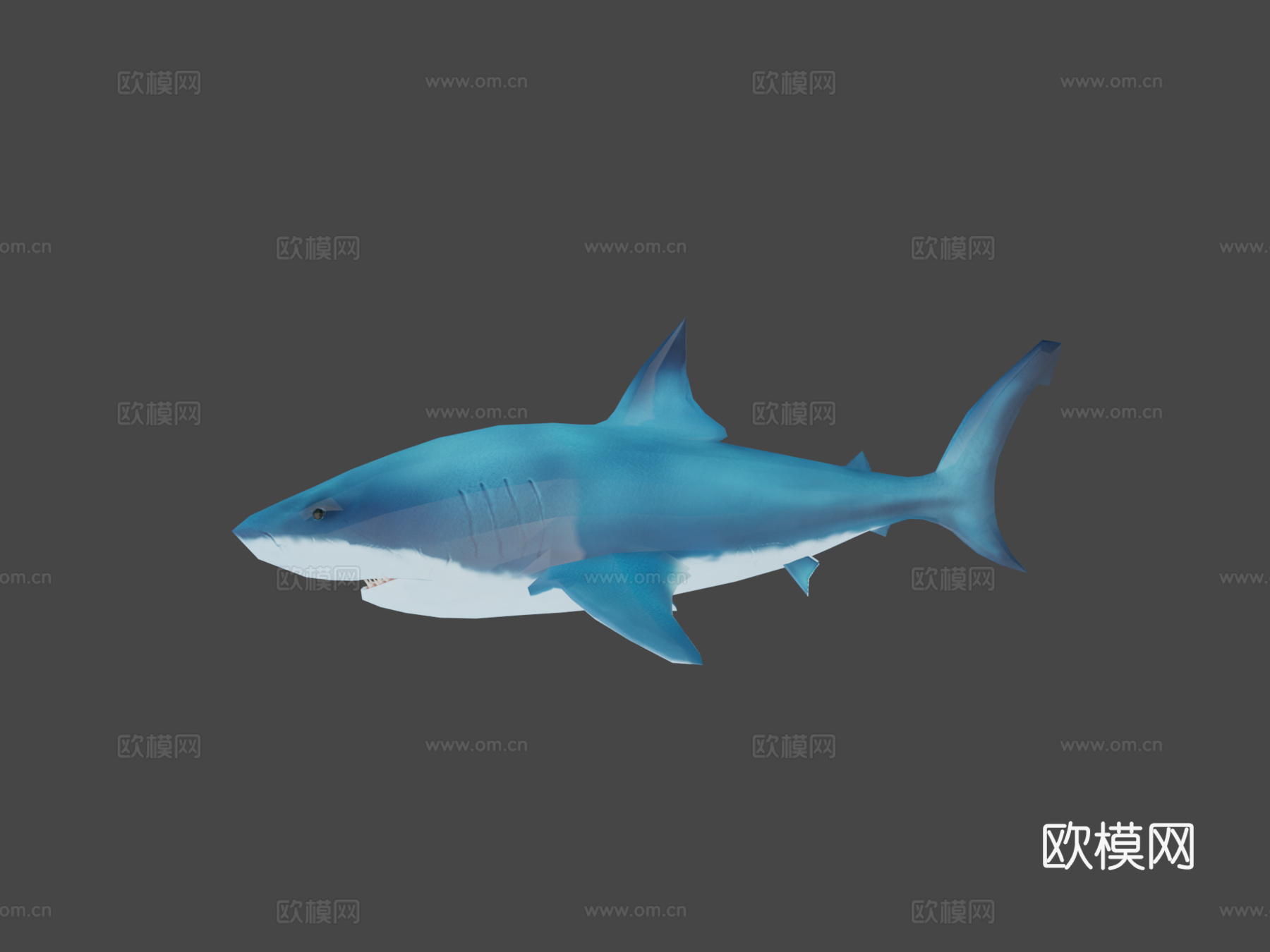 雀巢AR鲨鱼3d模型