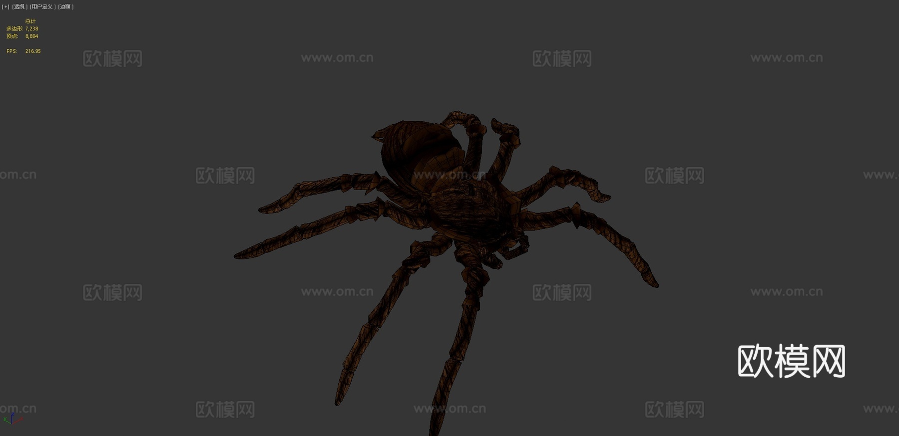 毛茸茸蜘蛛3d模型