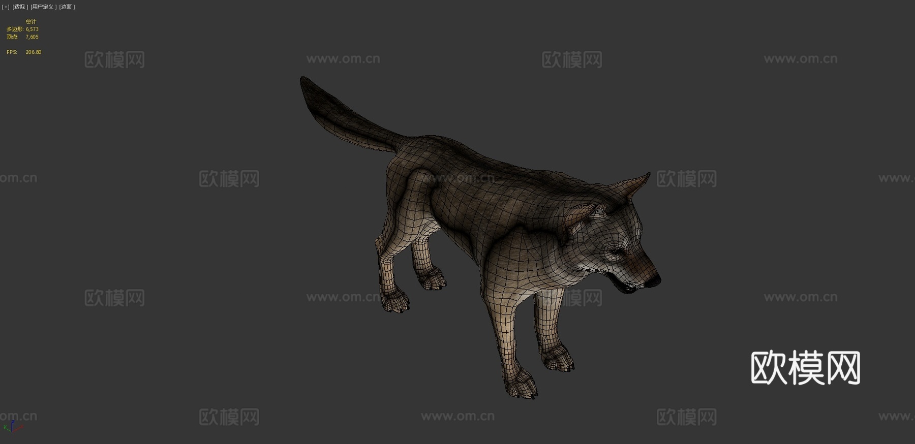 狼动画3d模型