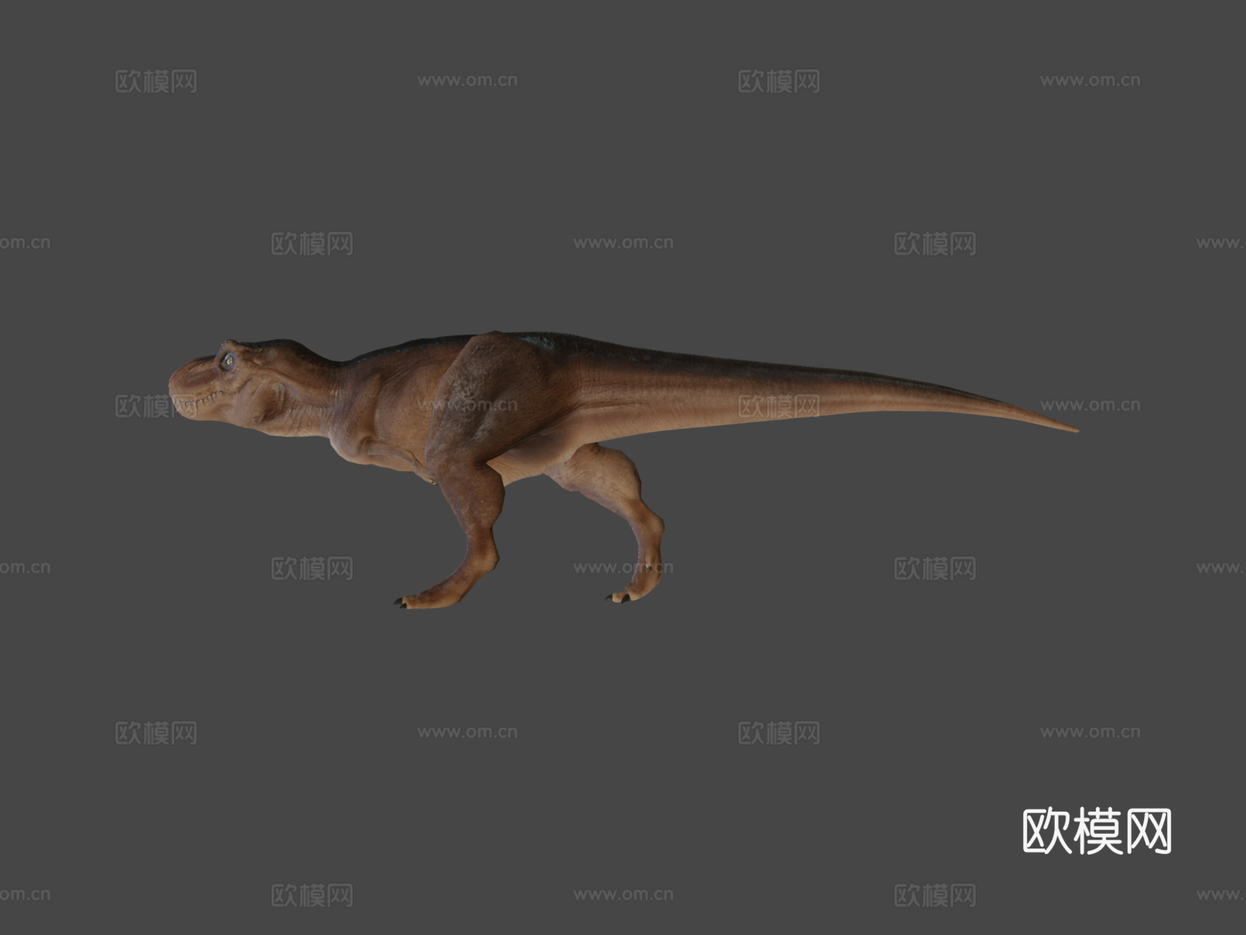 霸王龙3d模型