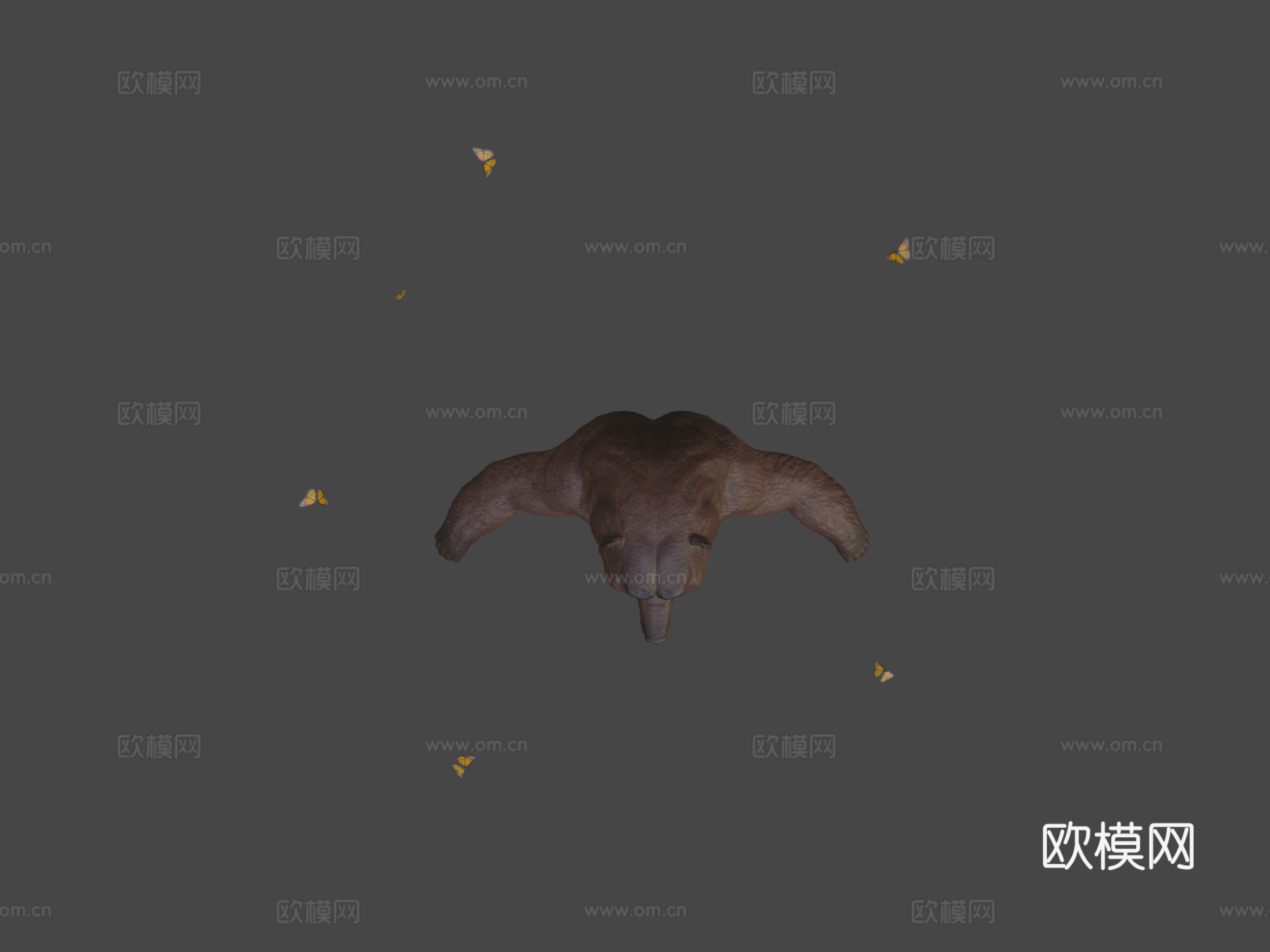 强壮熊3d模型
