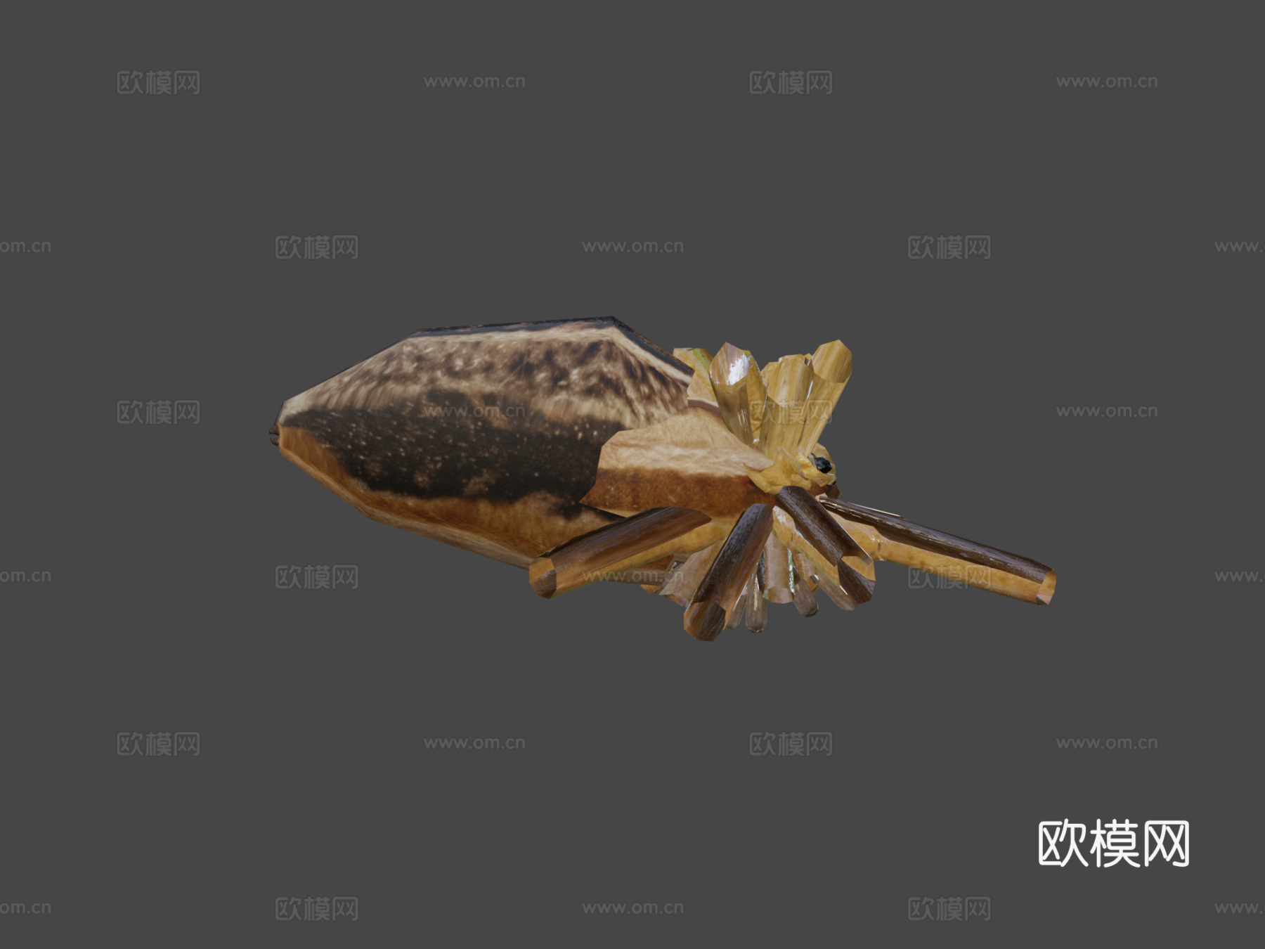 狼蛛(绑定)-3d模型