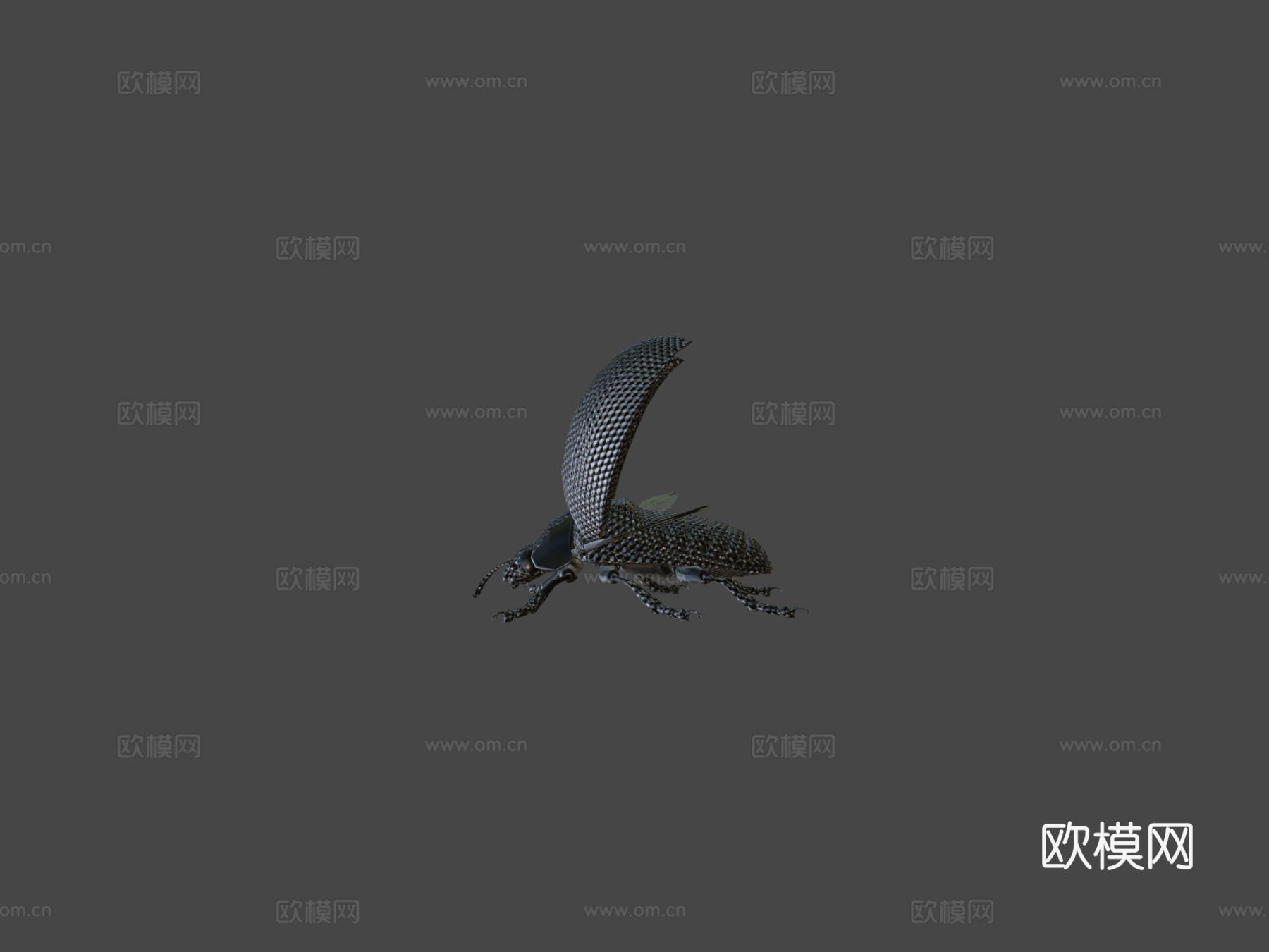 动画瓢虫3d模型