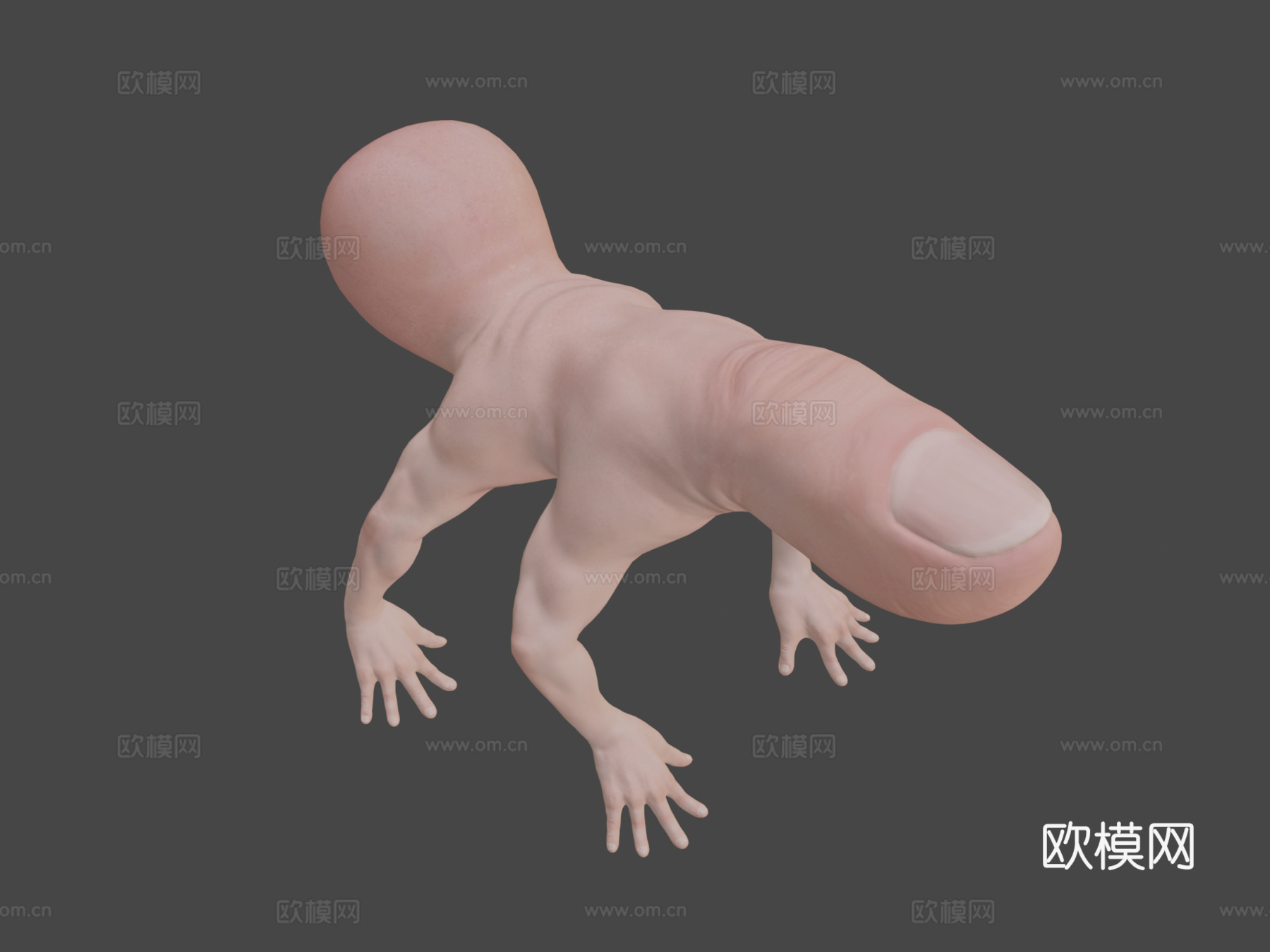 手指蜘蛛[仅模型]3d模型