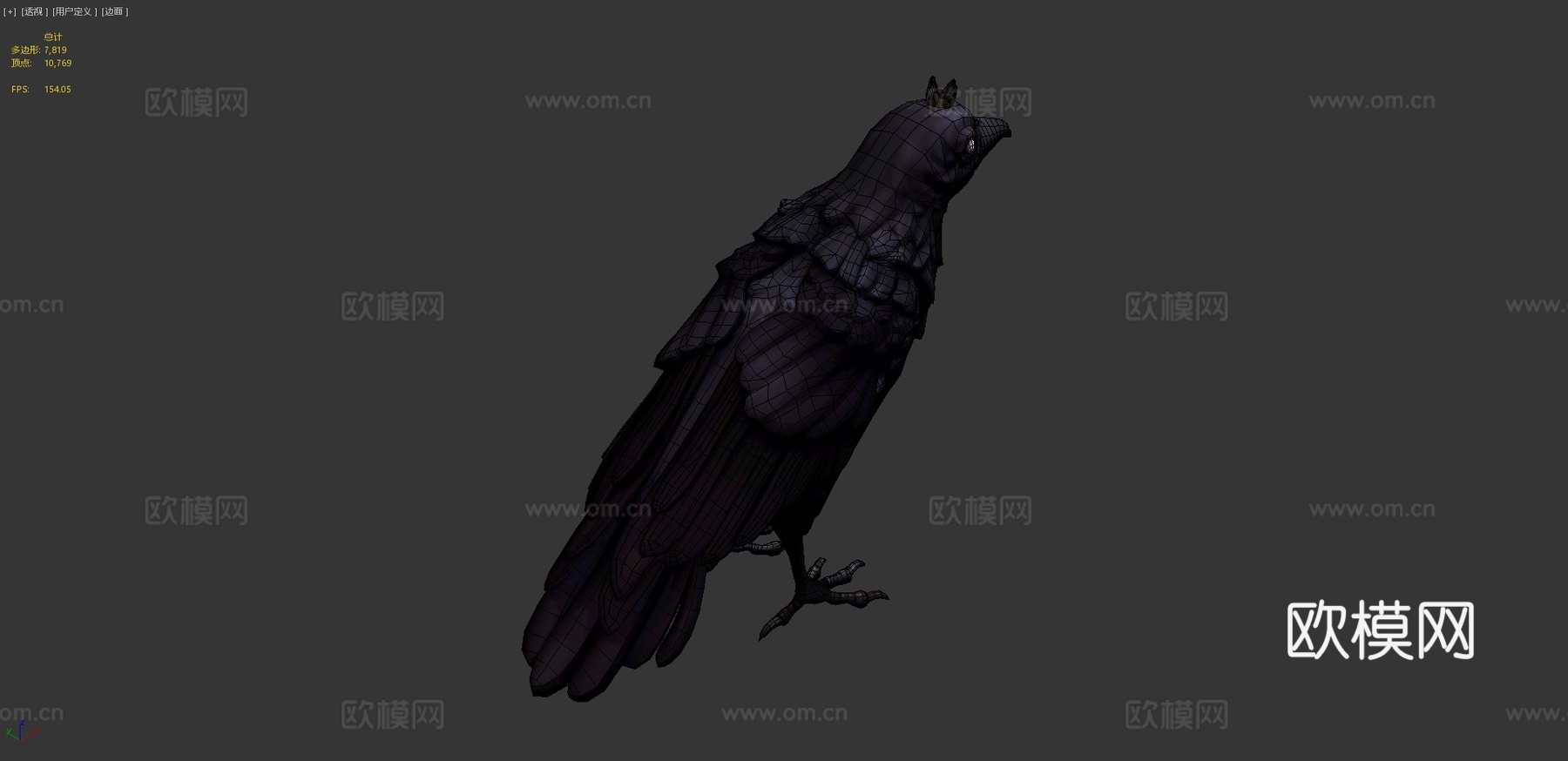 乌鸦3d模型