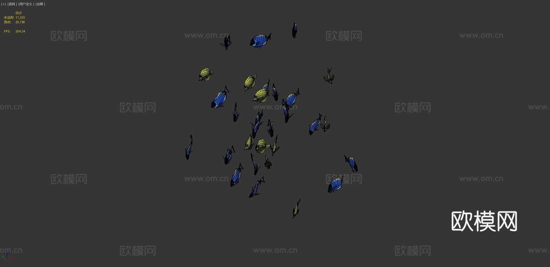 群游鱼蓝黄刺尾鱼3d模型