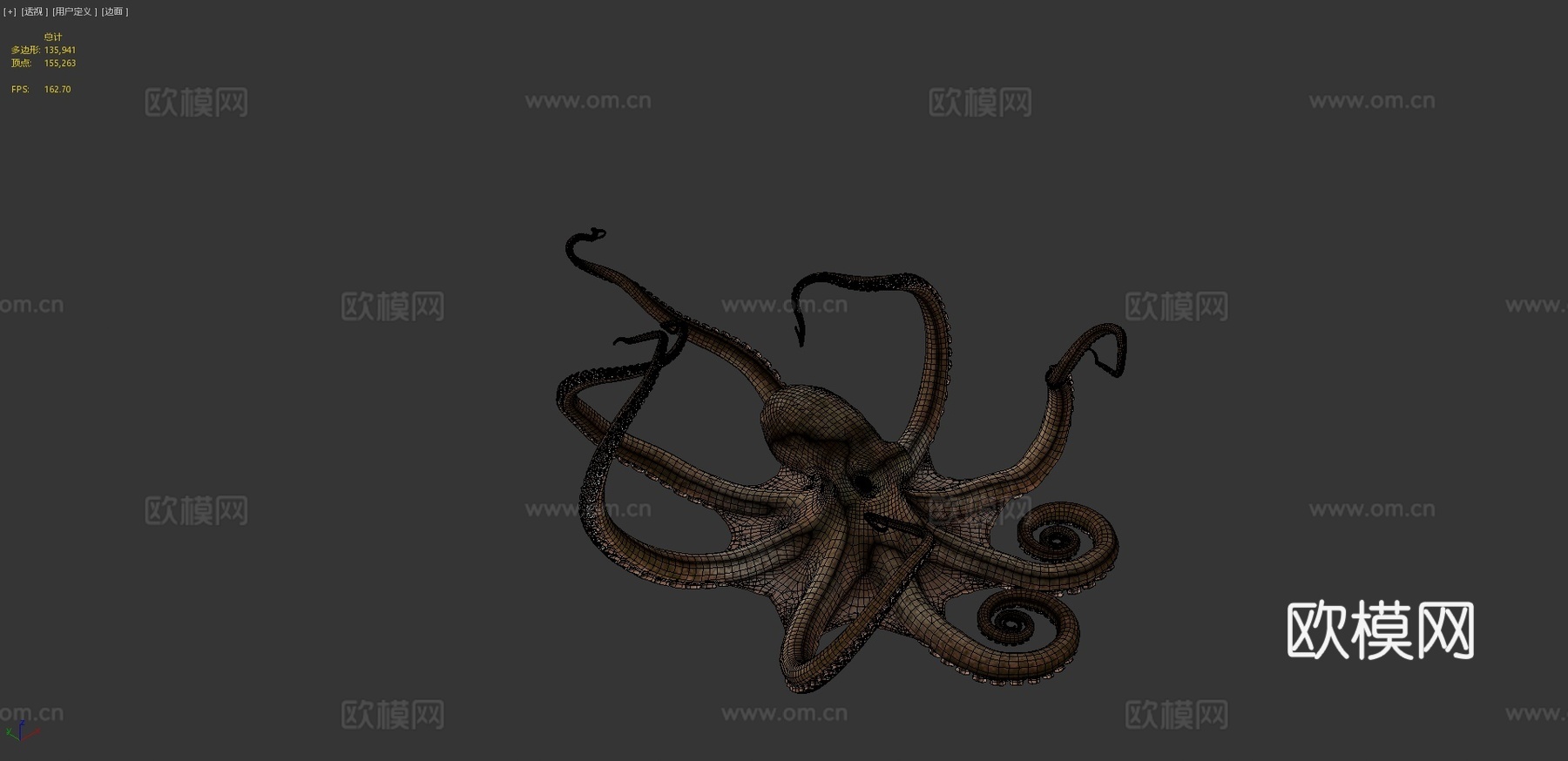 章鱼3d模型