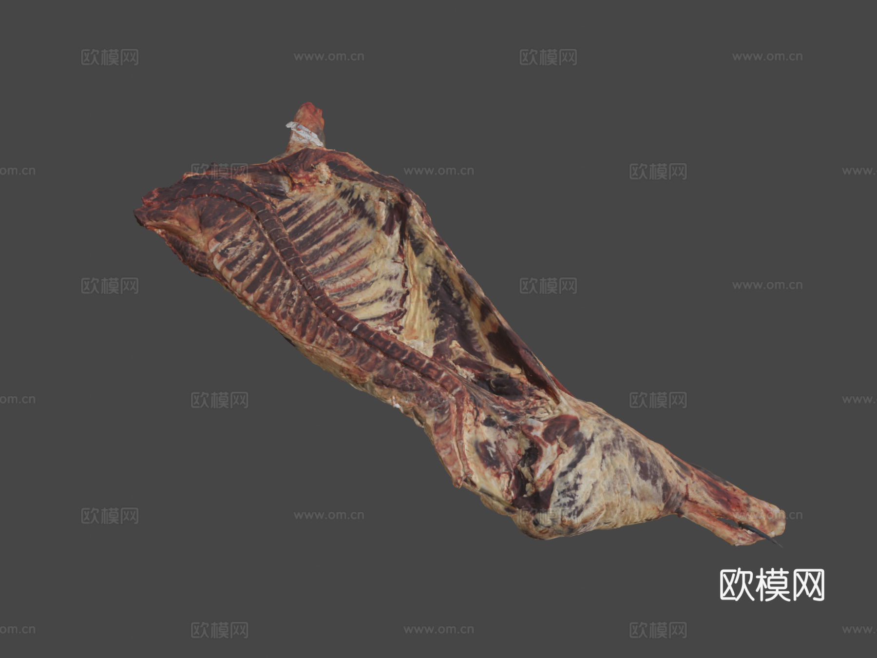 肉胴体3d模型