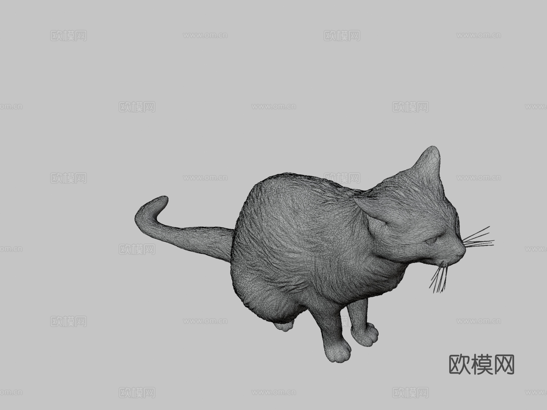 红猫07号3d模型