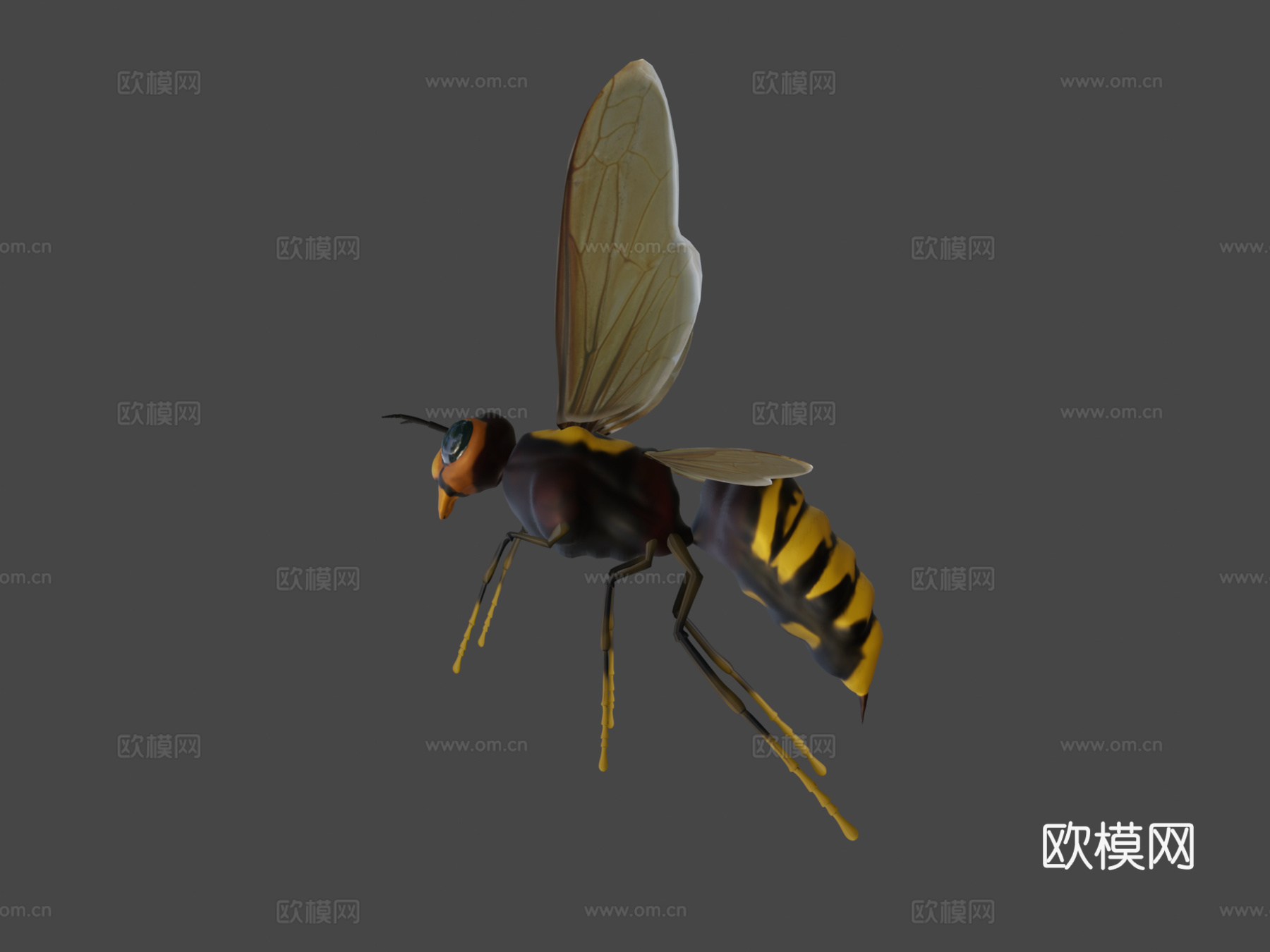 飞黄蜂3d模型