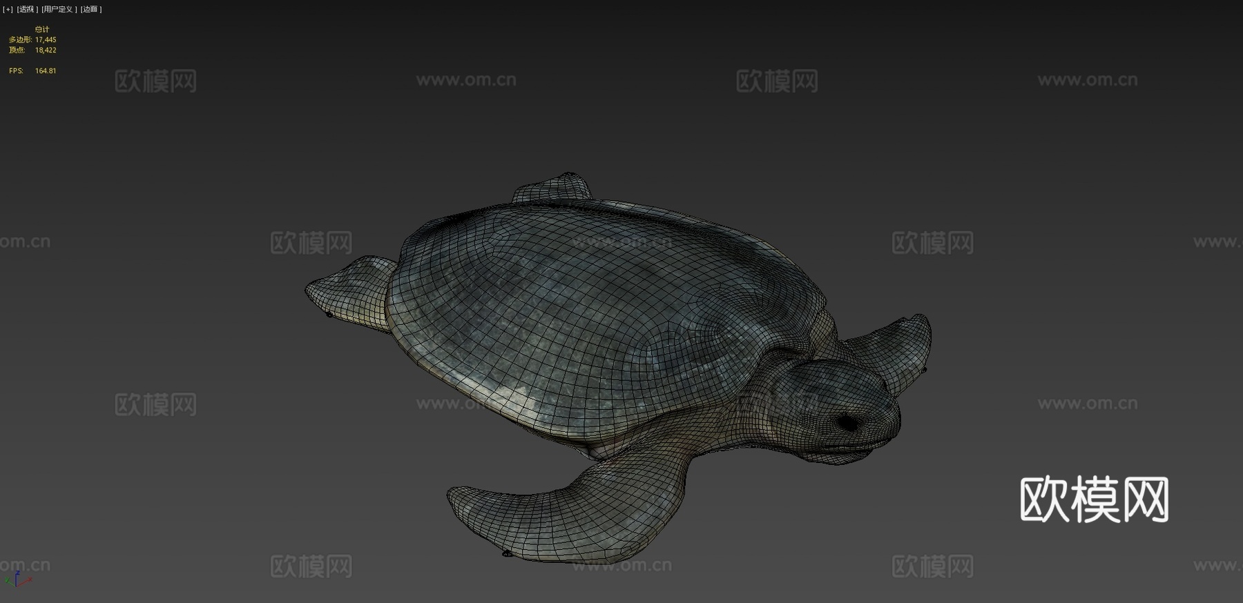 模型53A-平背海龟3d模型
