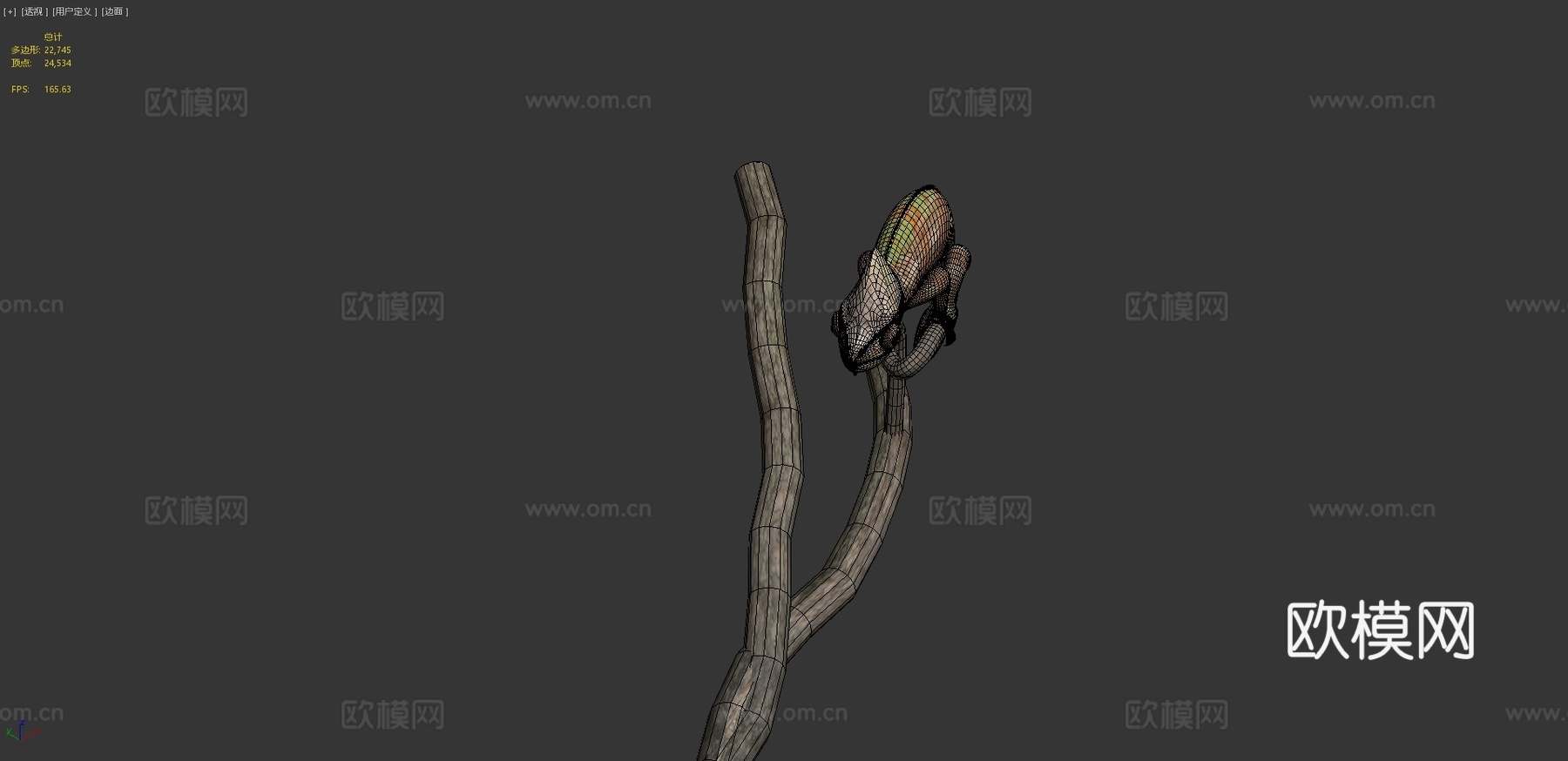 变色龙3d模型