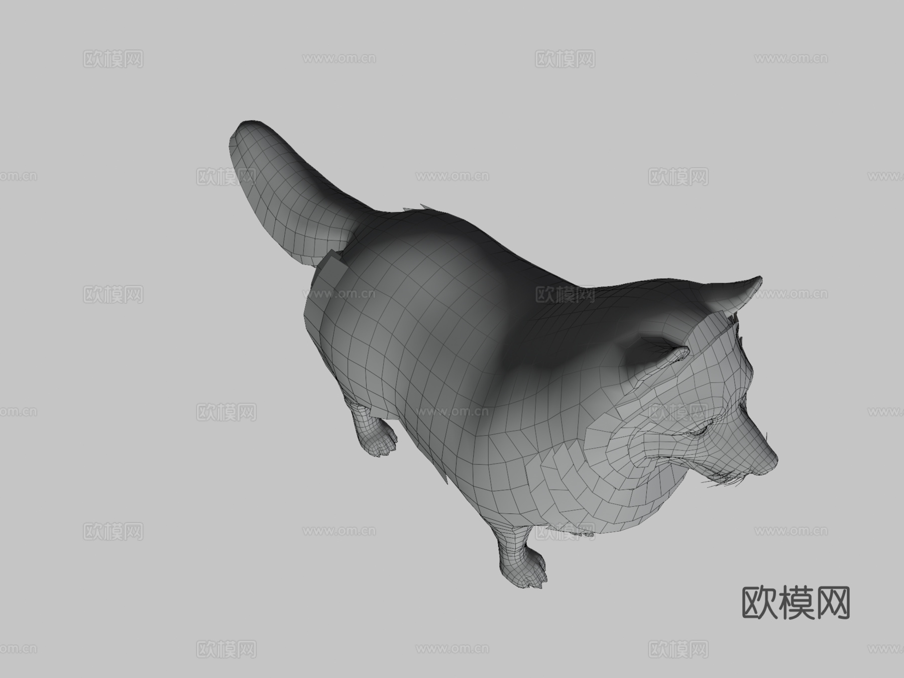 博美犬3d模型