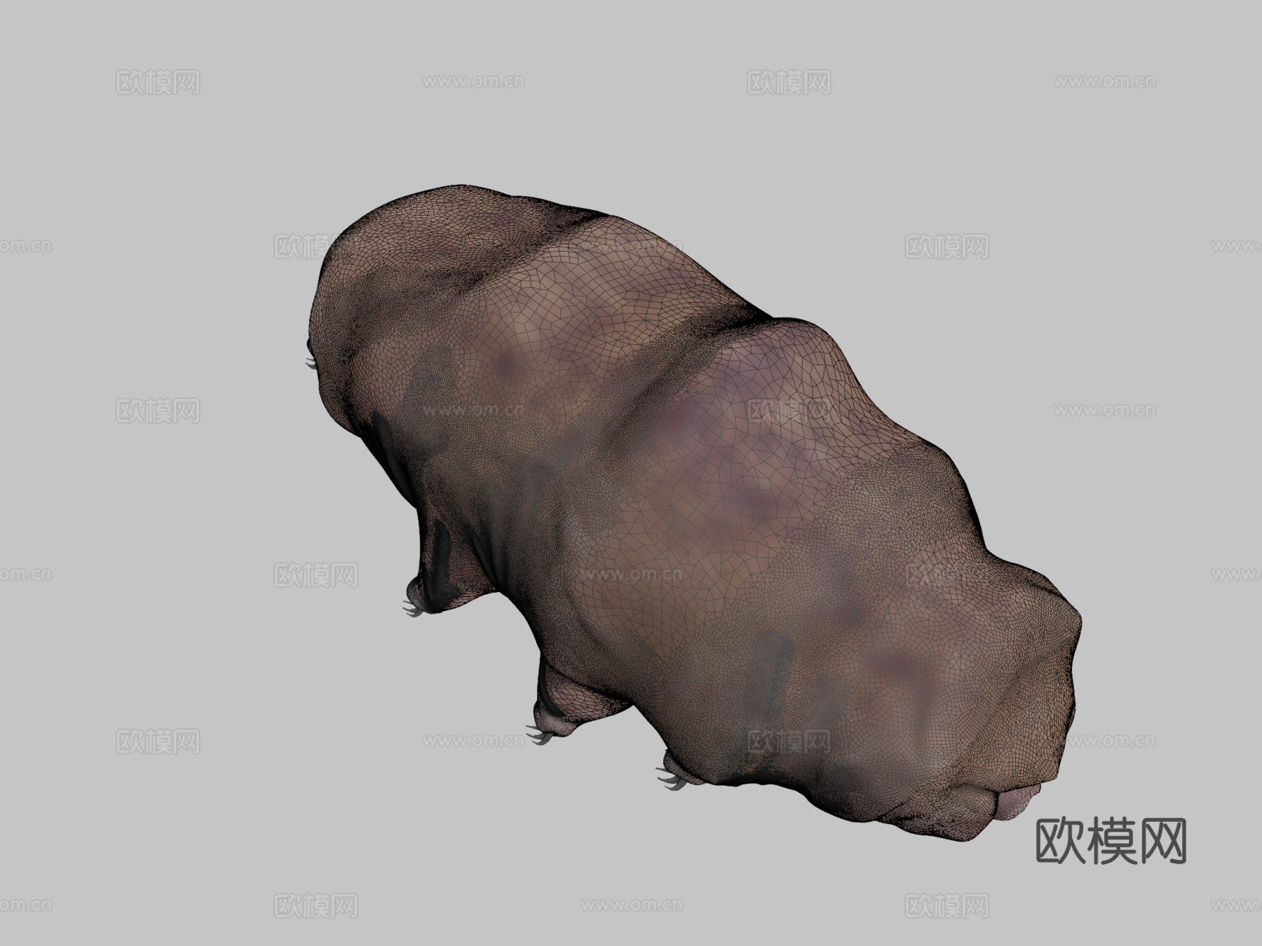 水熊虫3d模型