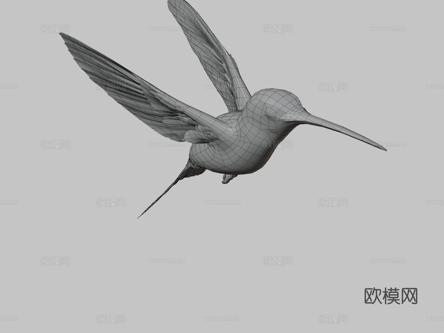 燕尾蜂鸟3d模型